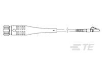 FOSM ODC LEAD 5.5 2PLUG SPX-LC/PC 16.0M-1-1920945-6