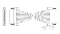 JSM009PP2DC006N = WDUALOBE-1-1589735-2