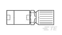 C42334A  75A  2=KABELSTECKER-1393682-1