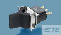FLD19BLACK04=LEVER ACTION SWITCH-3-6437630-2