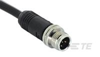 M12 Shielded MALE CONN.  PVC w/o S/R-1838363-4