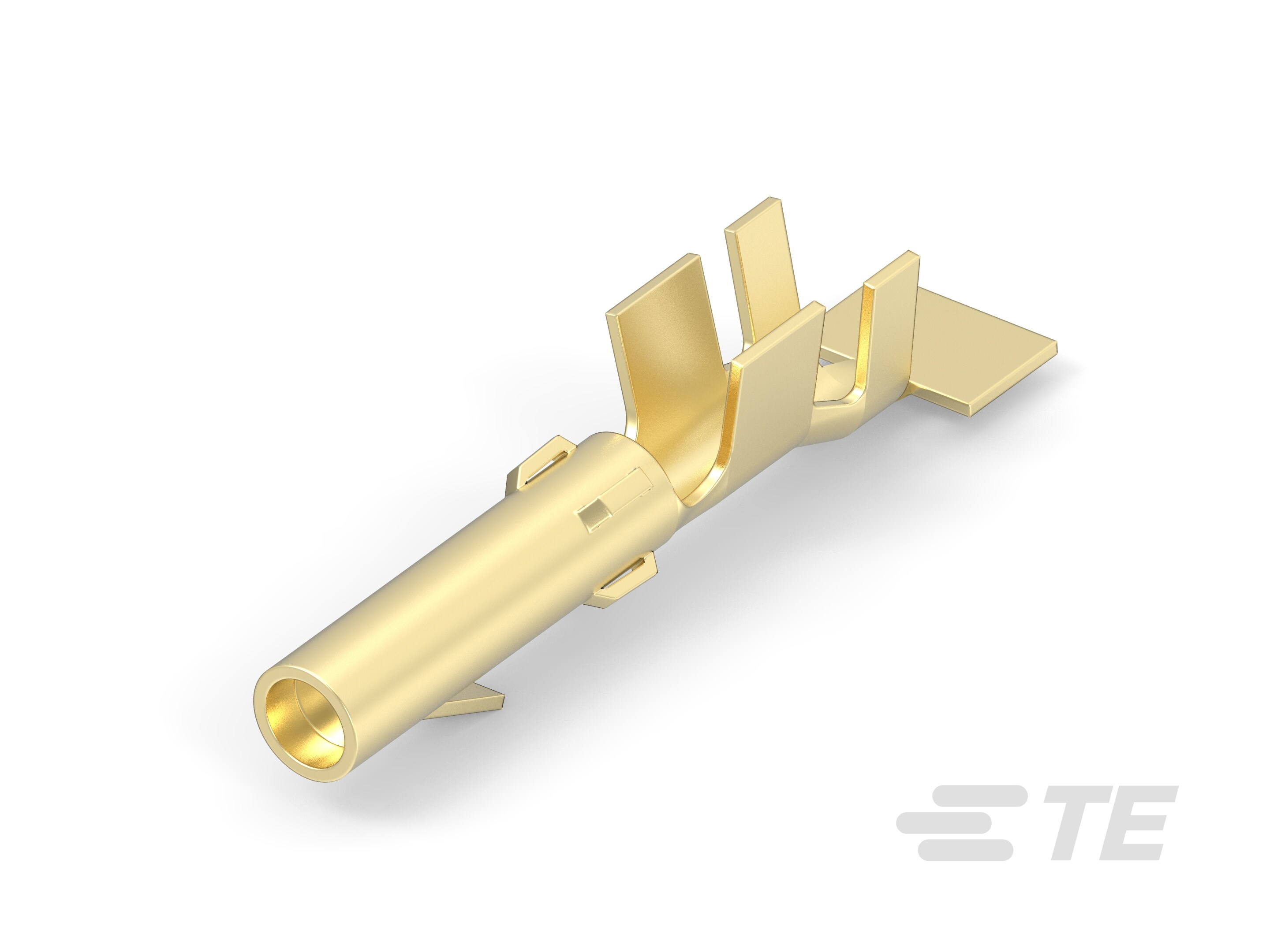 TERM.HEMB. MNL LAT.EST. 16-14-155468-2