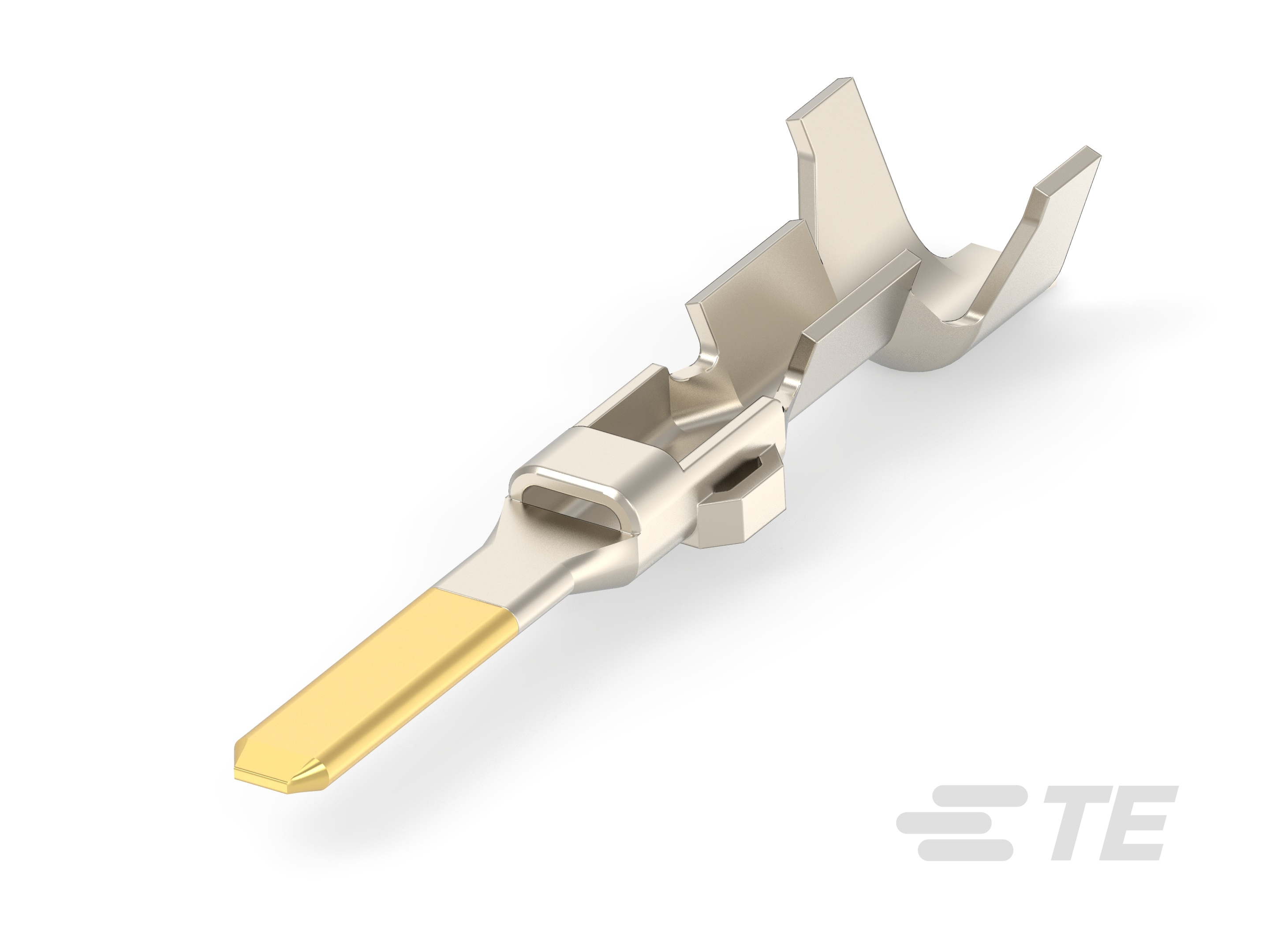 070 TAB CONT GOLD-171631-2