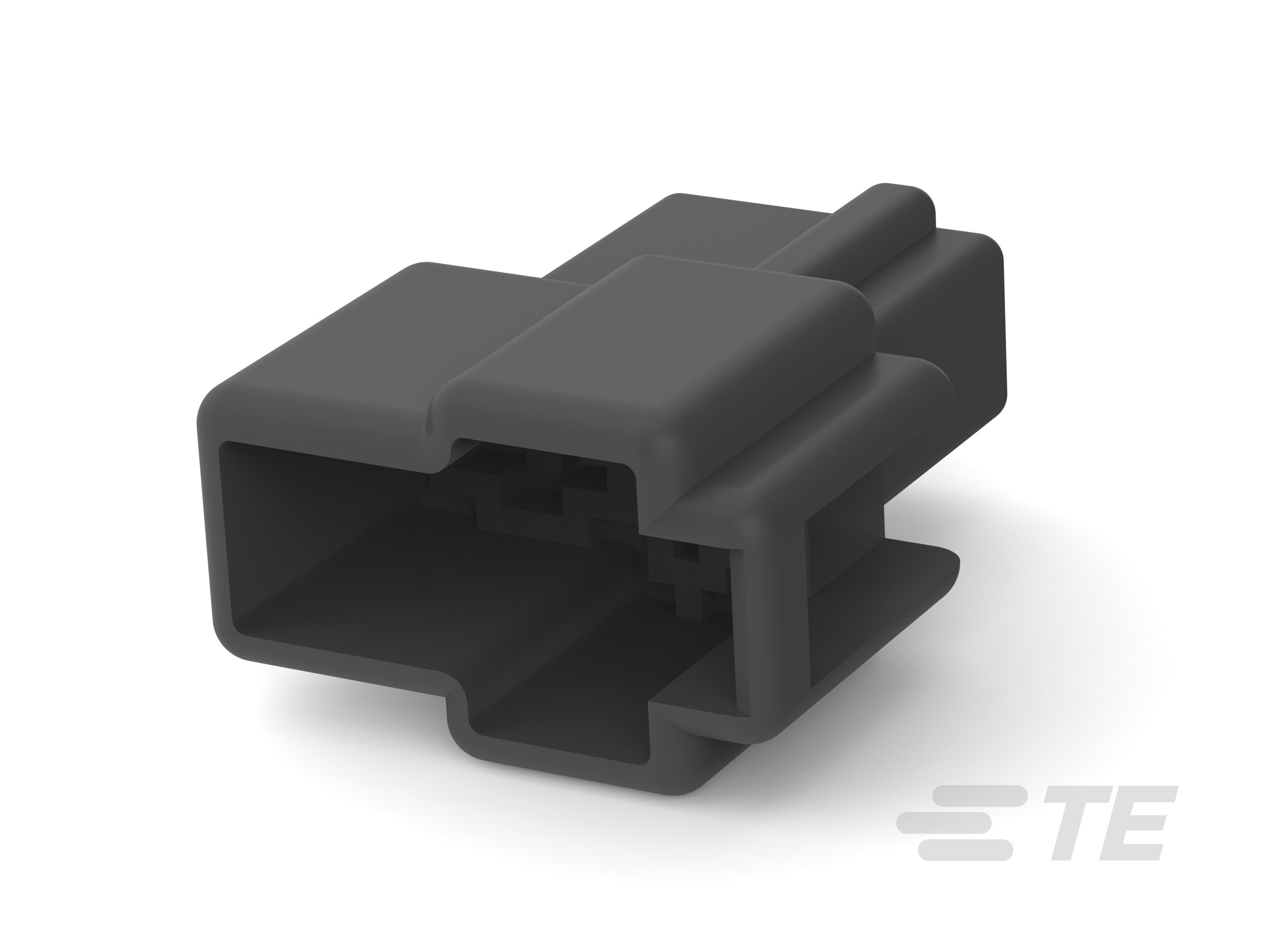 FF 250 PLUG HSG 2P NYLON BLACK-172129-2