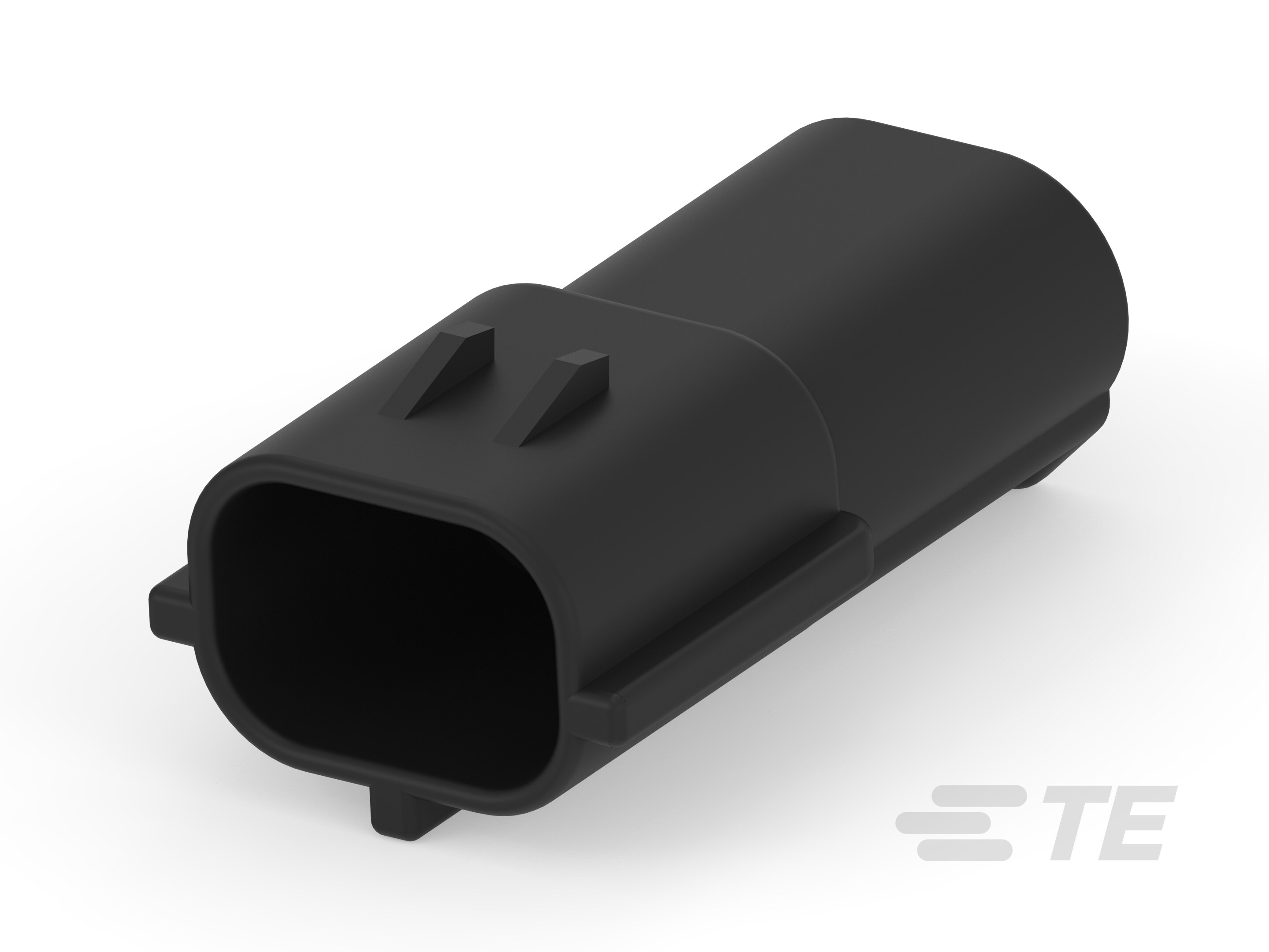 070 ECONOSEAL MARK-2 CAP 2P-174354-2