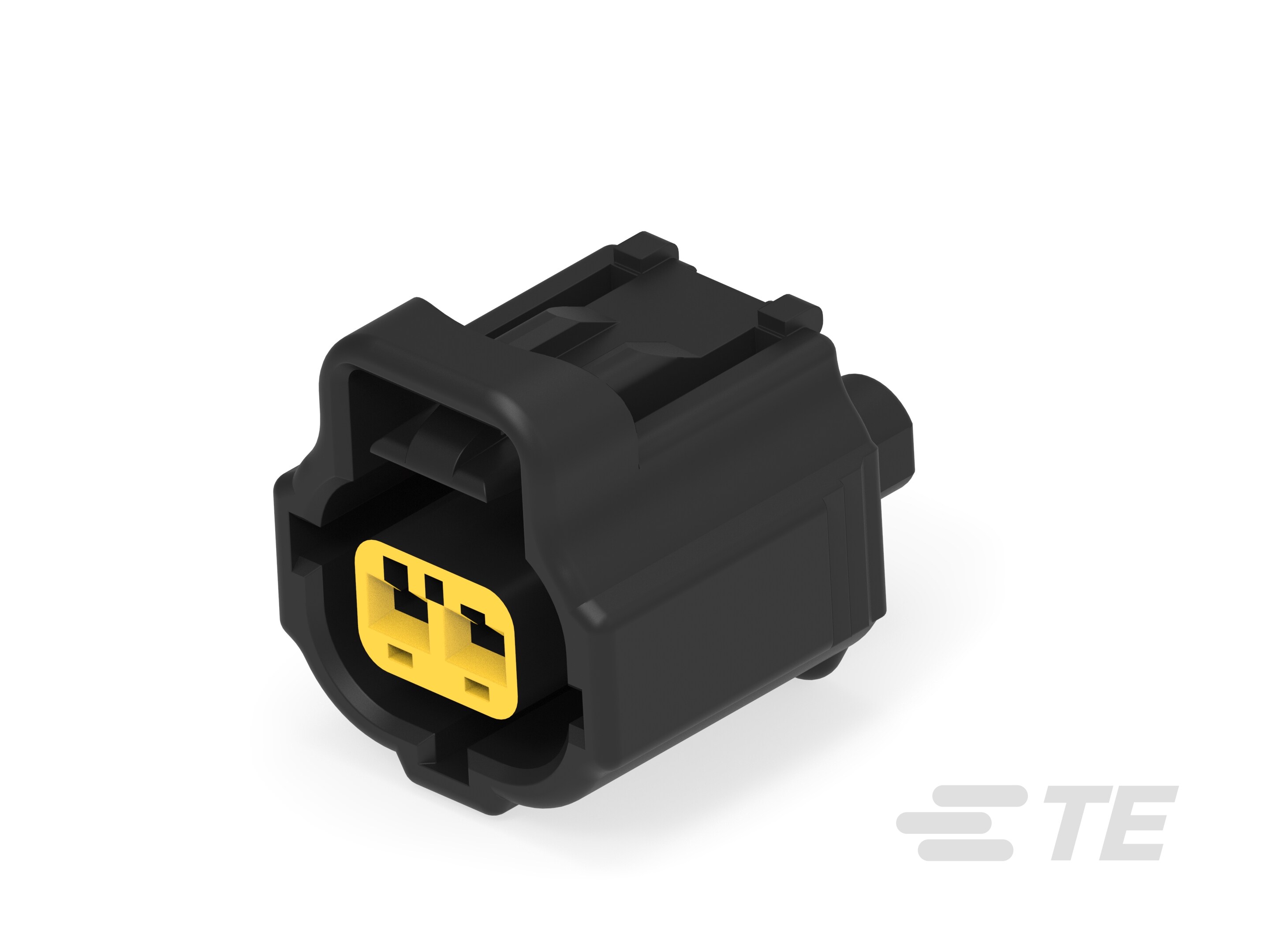 2 POS. PLUG ASSY., KEY C-184216-1