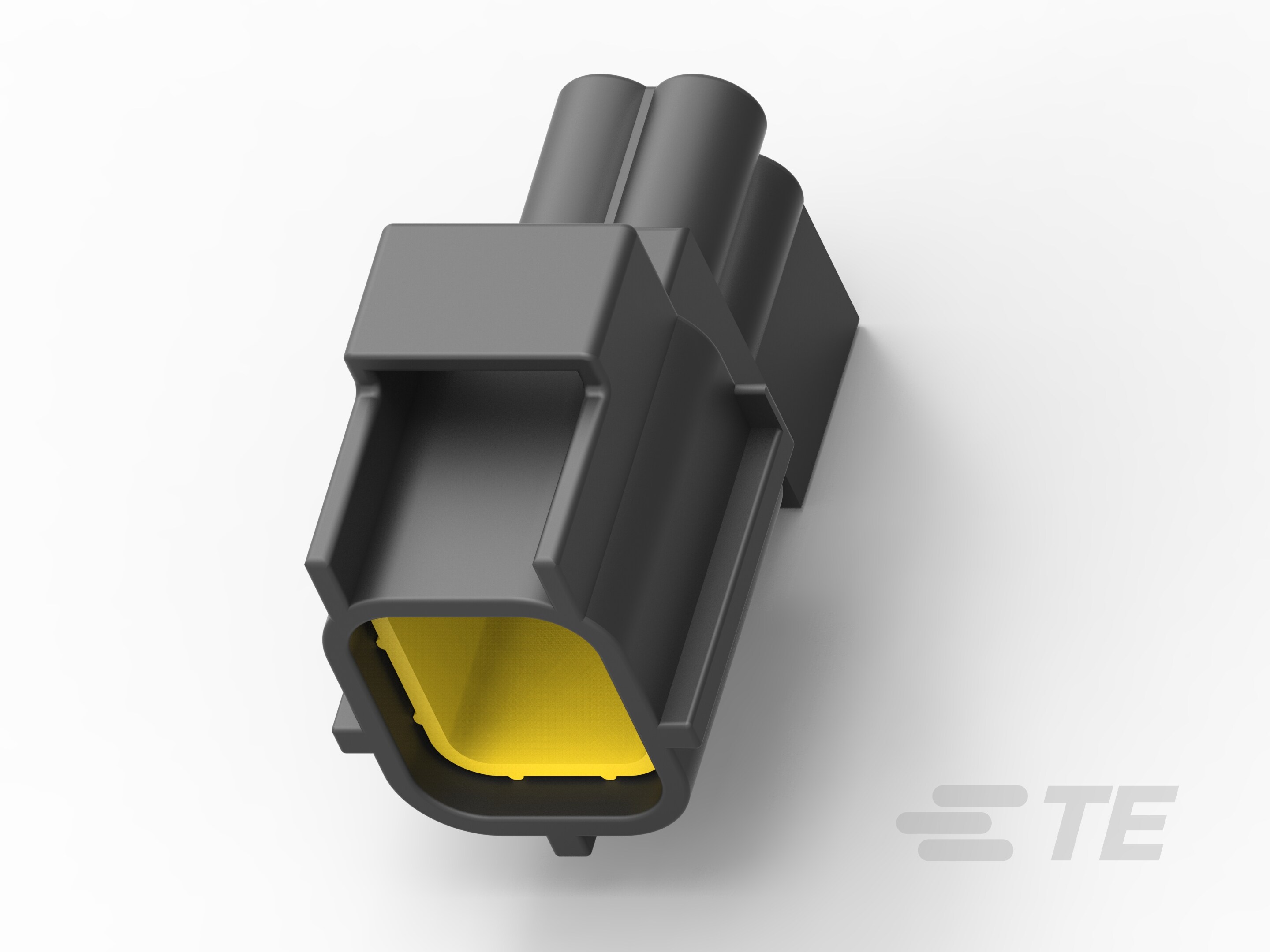 2X2 CAP ASY KEY D C4-184307-1