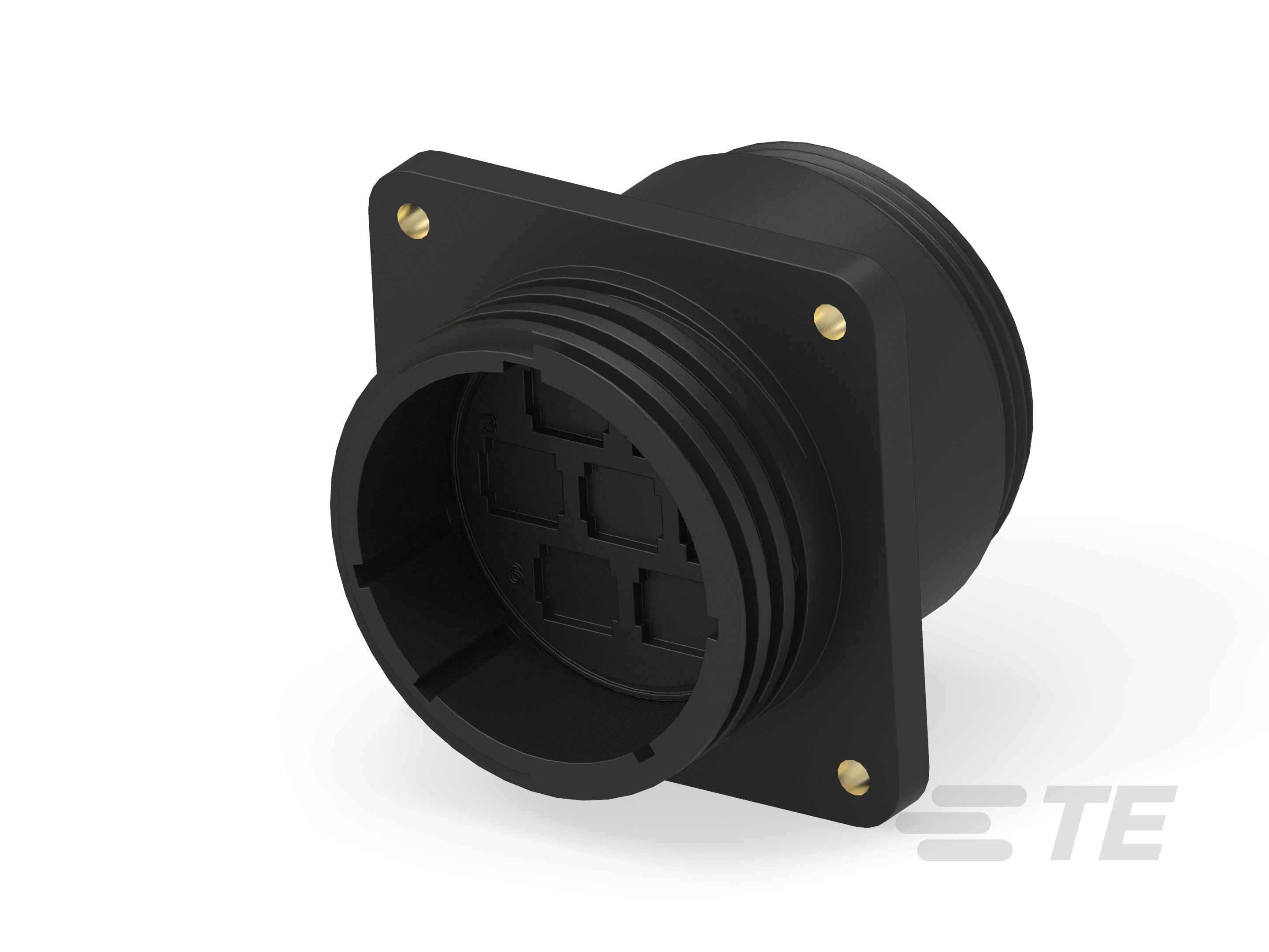 23-7 RECEPT STD SEX-206137-5