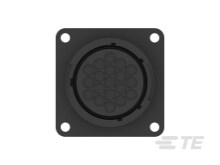 パルペーション & アジャストメント 41XclQWgRTL.jpg_BO30,255,255,