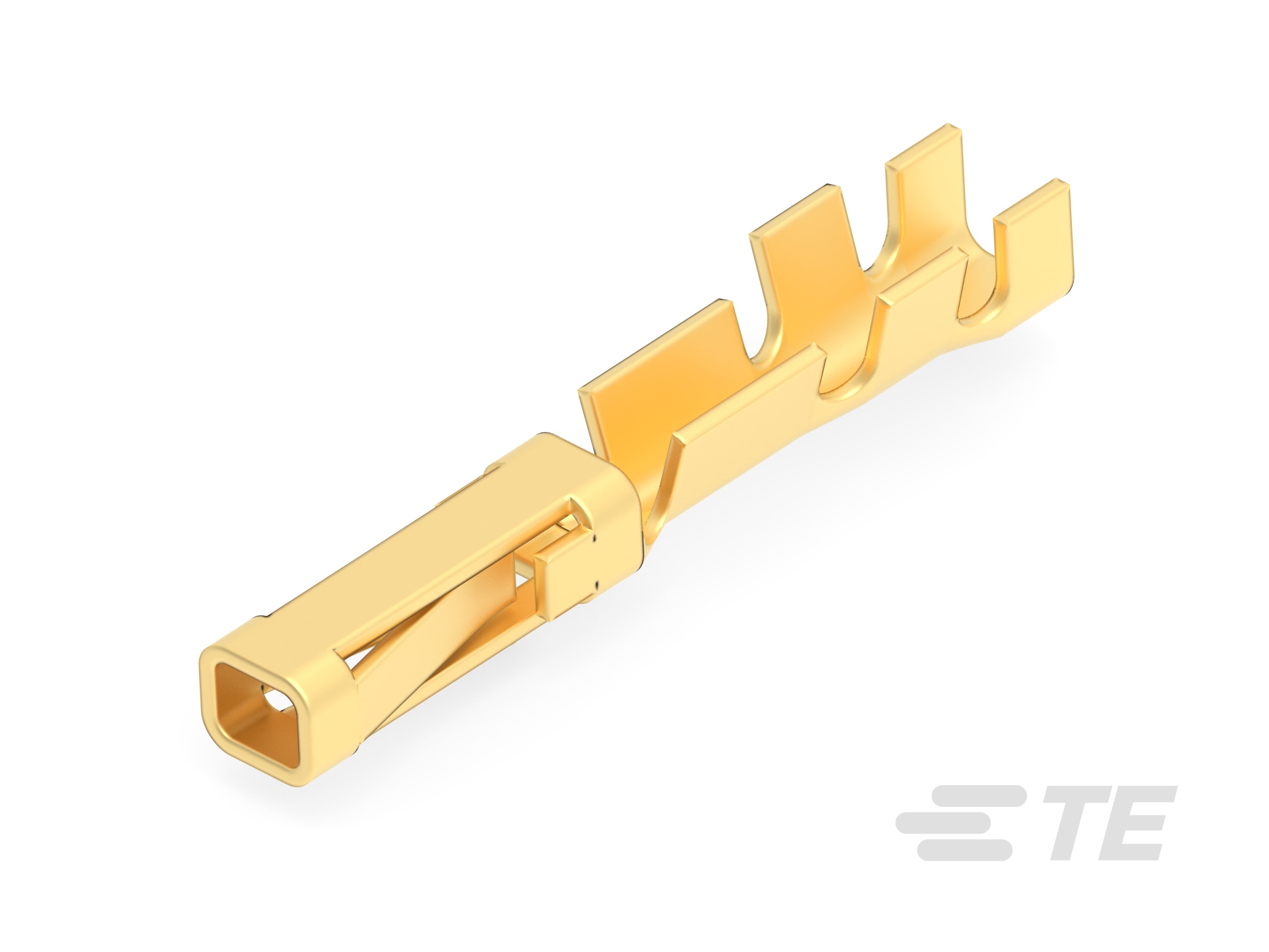 MOD II COSI RECP CONT STR PH-B-280530-1