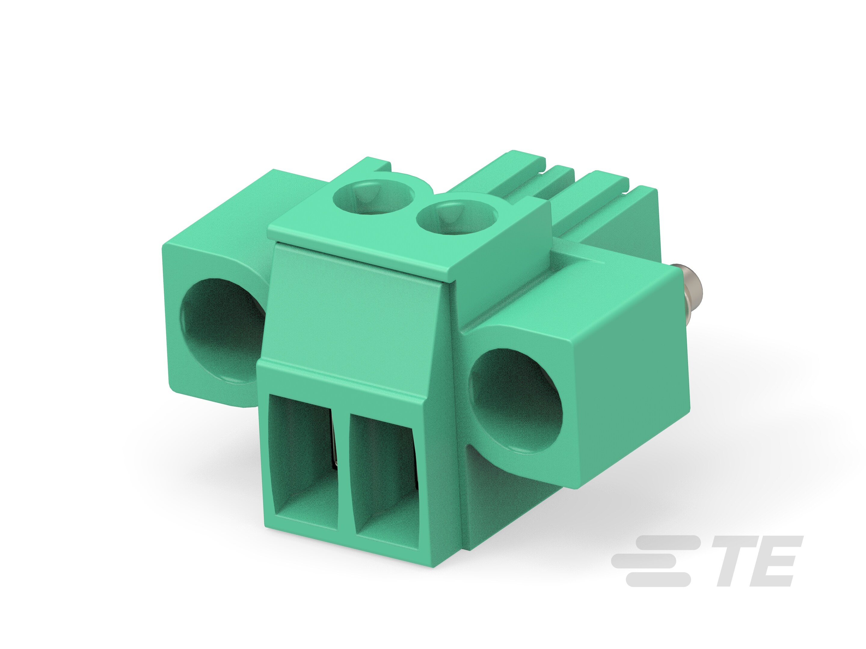2P TERMI-BLOK PLUG CON VITI-284510-2