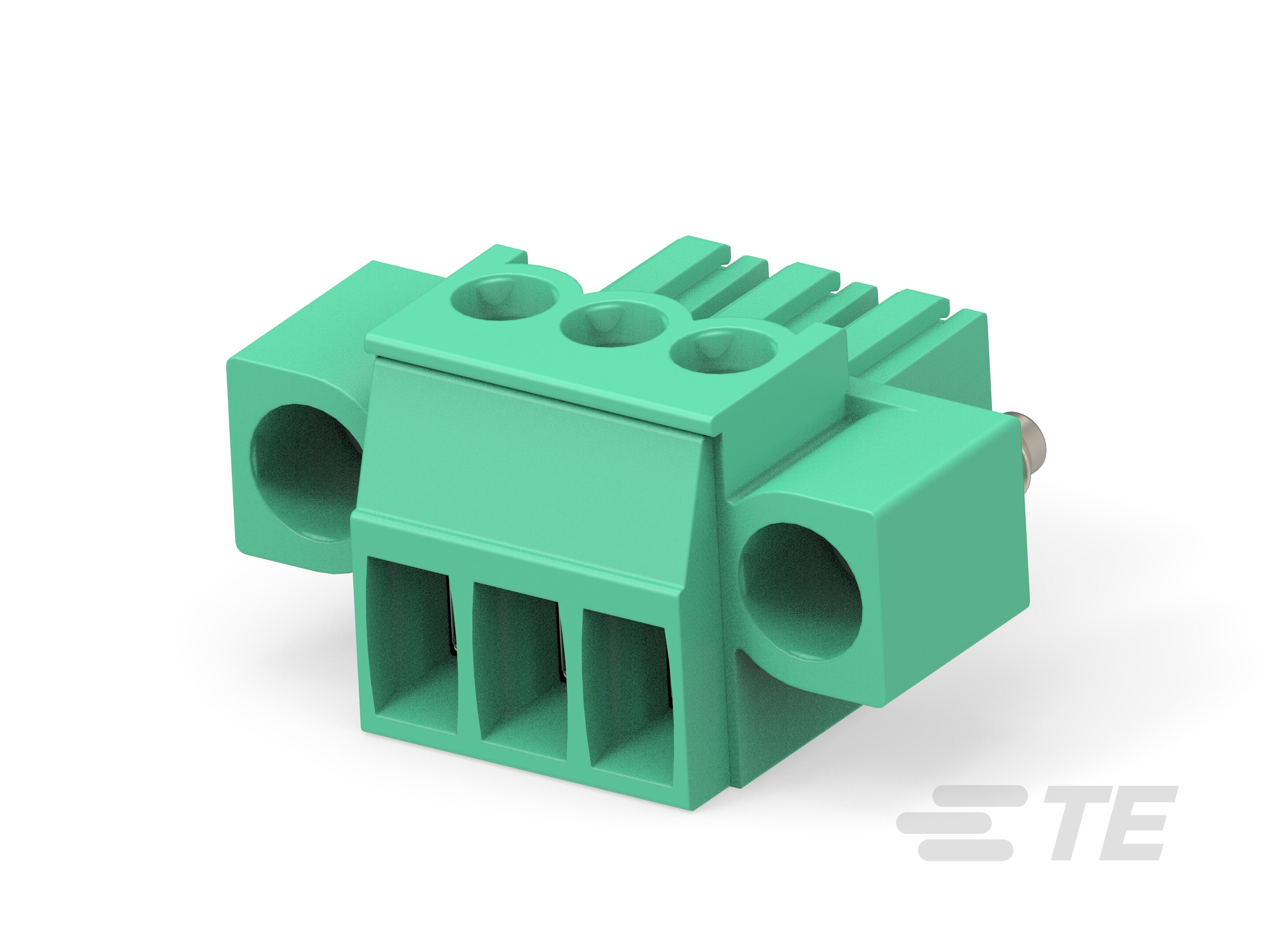 3P TERMI-BLOK PLUG CON VITI-284510-3