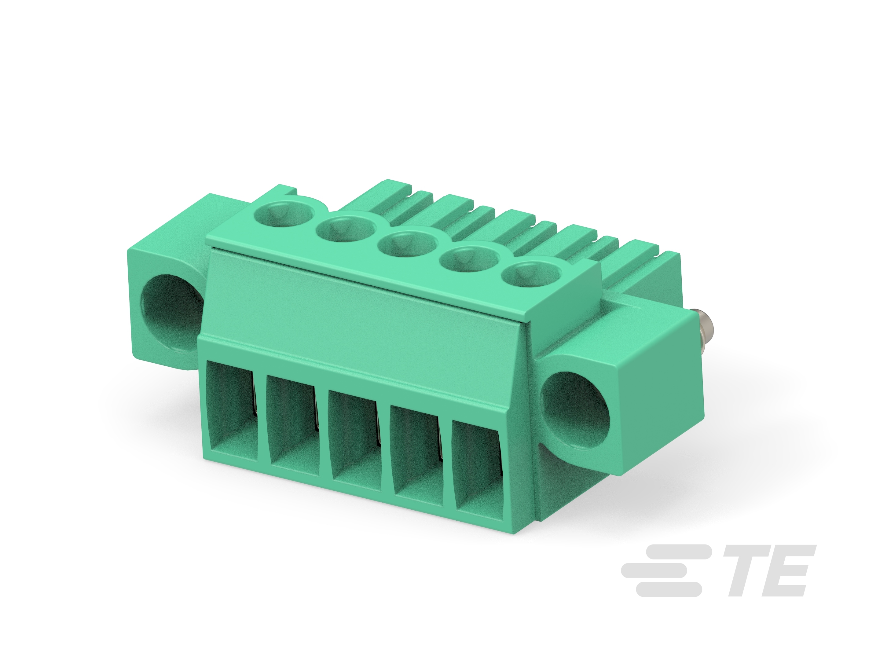 5P TERMI-BLOK PLUG CON VITI-284510-5
