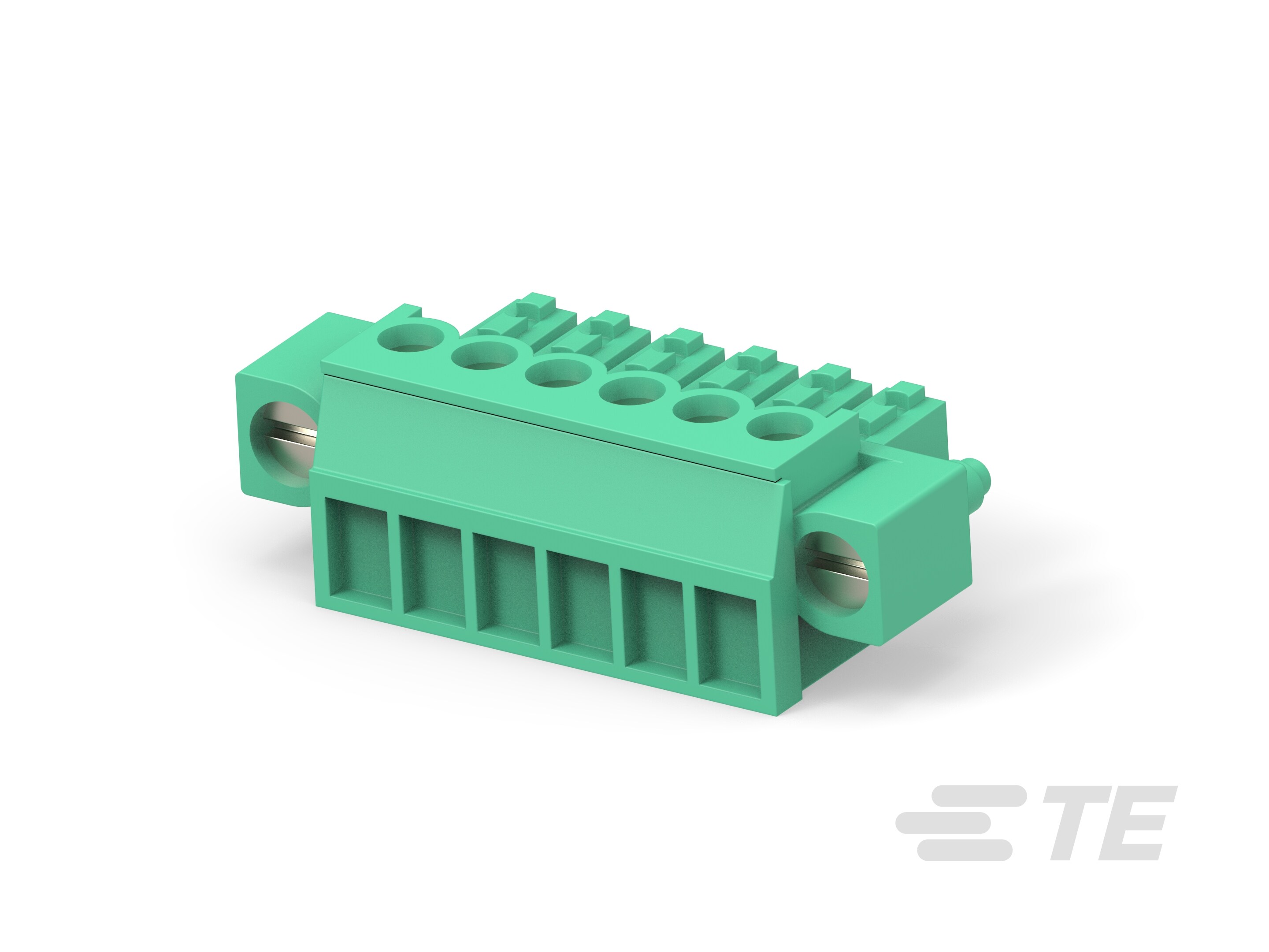 6 POS TERMI-BLOK PLUG C. VITI-284511-6