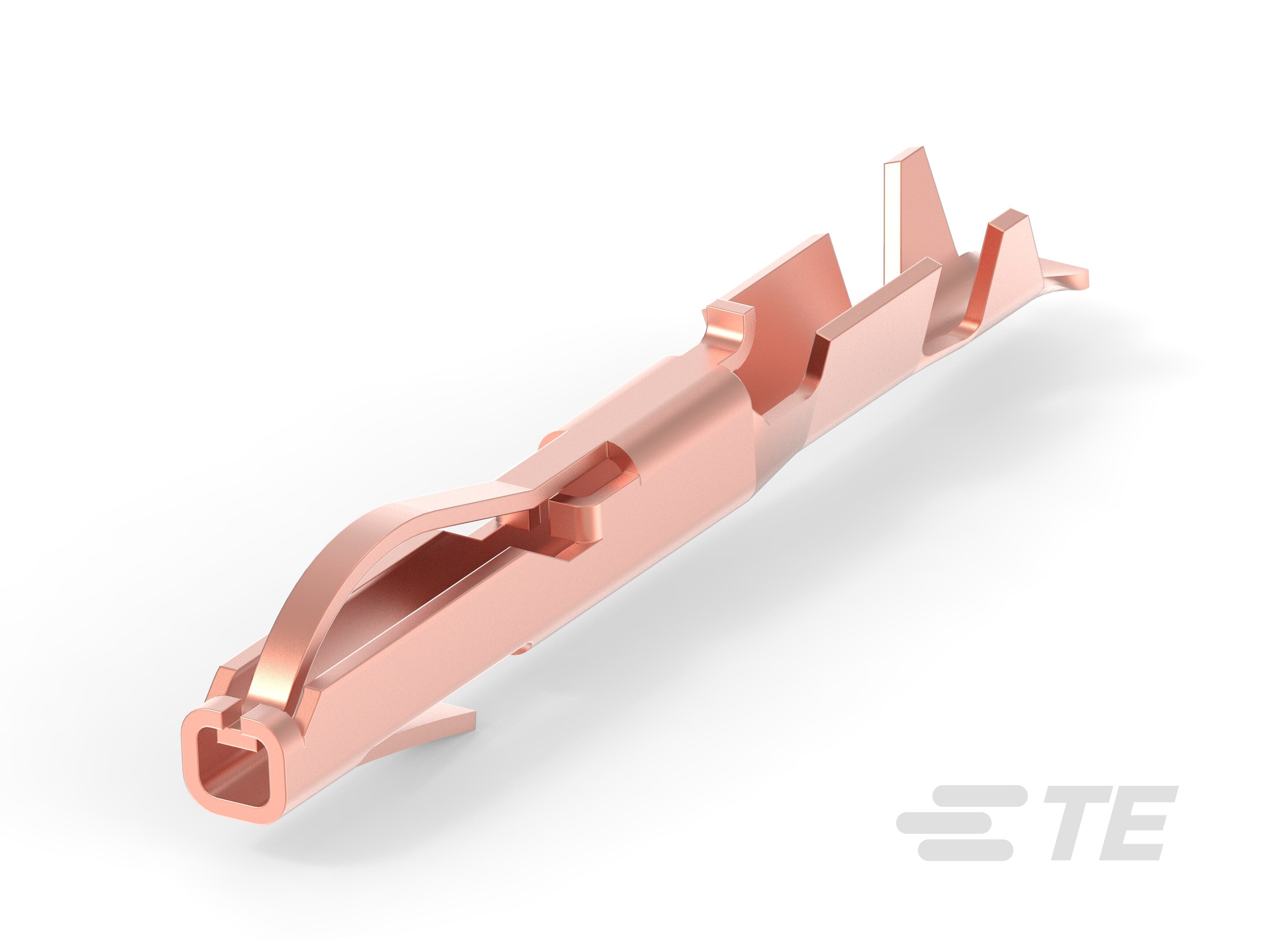 TWIN LEAF TERM.-583853-1