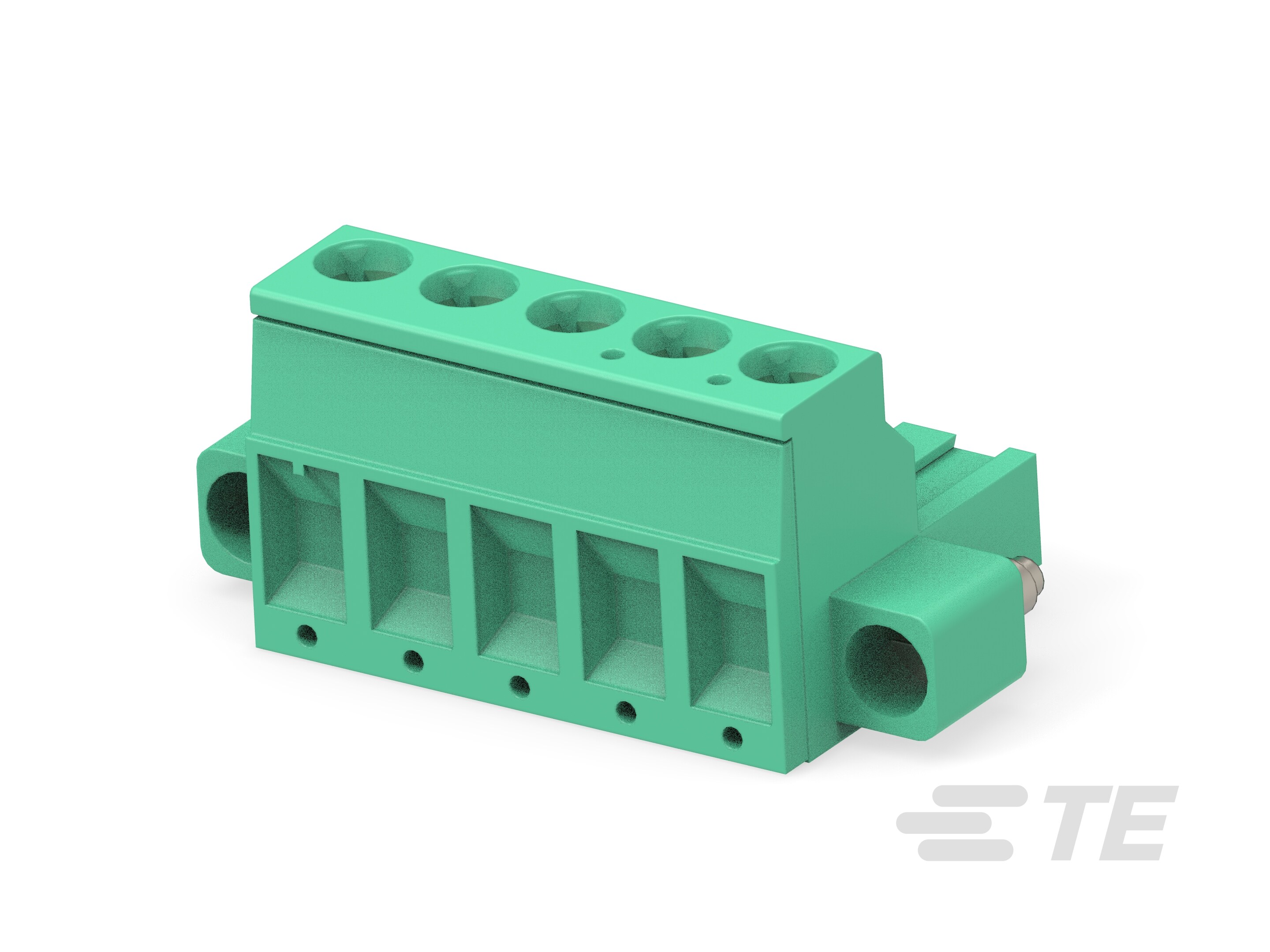 5 POS TERMI-BLOK PLUG RT ANGLE-796859-5