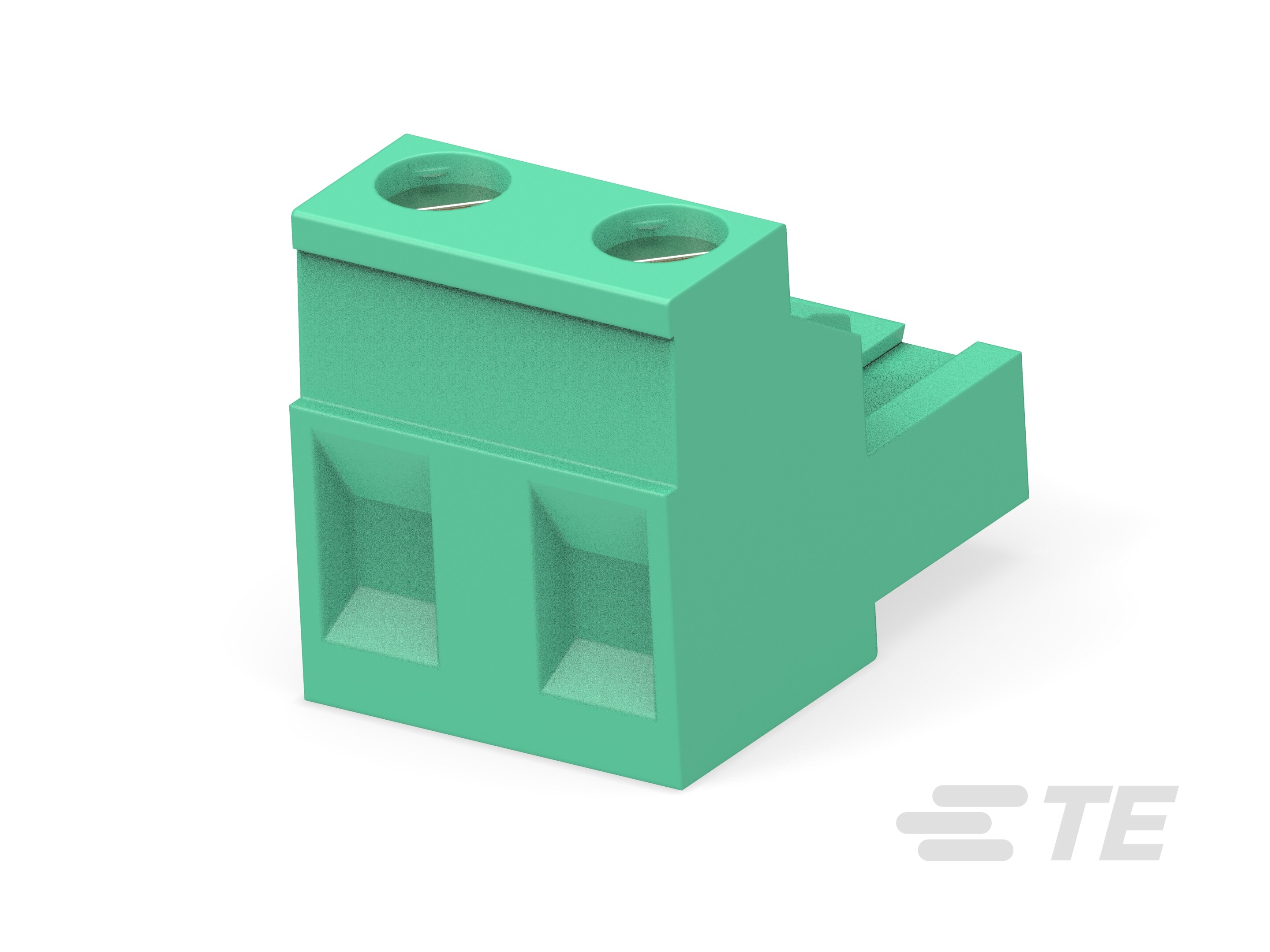2 POS TERMI-BLOK R/A PLUG 7.62-796981-2