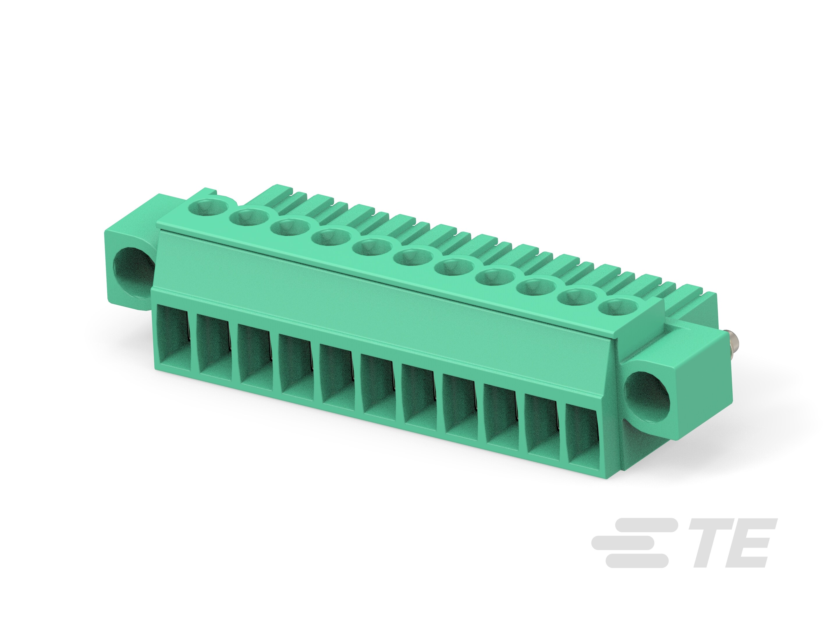 11P TERMI-BLOK CON VITI-1-284510-1