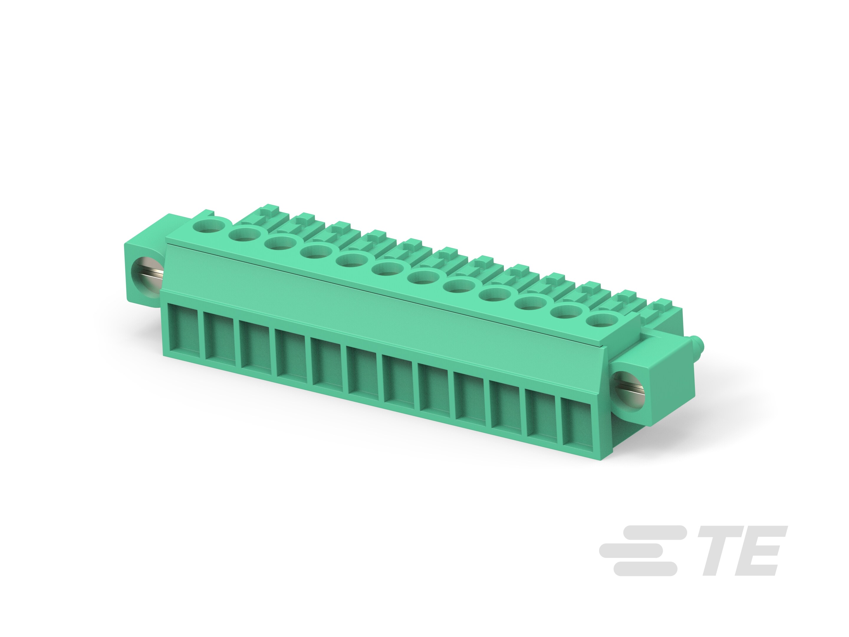12 POS TERMI-BLOK PLUG C. VITI-1-284511-2