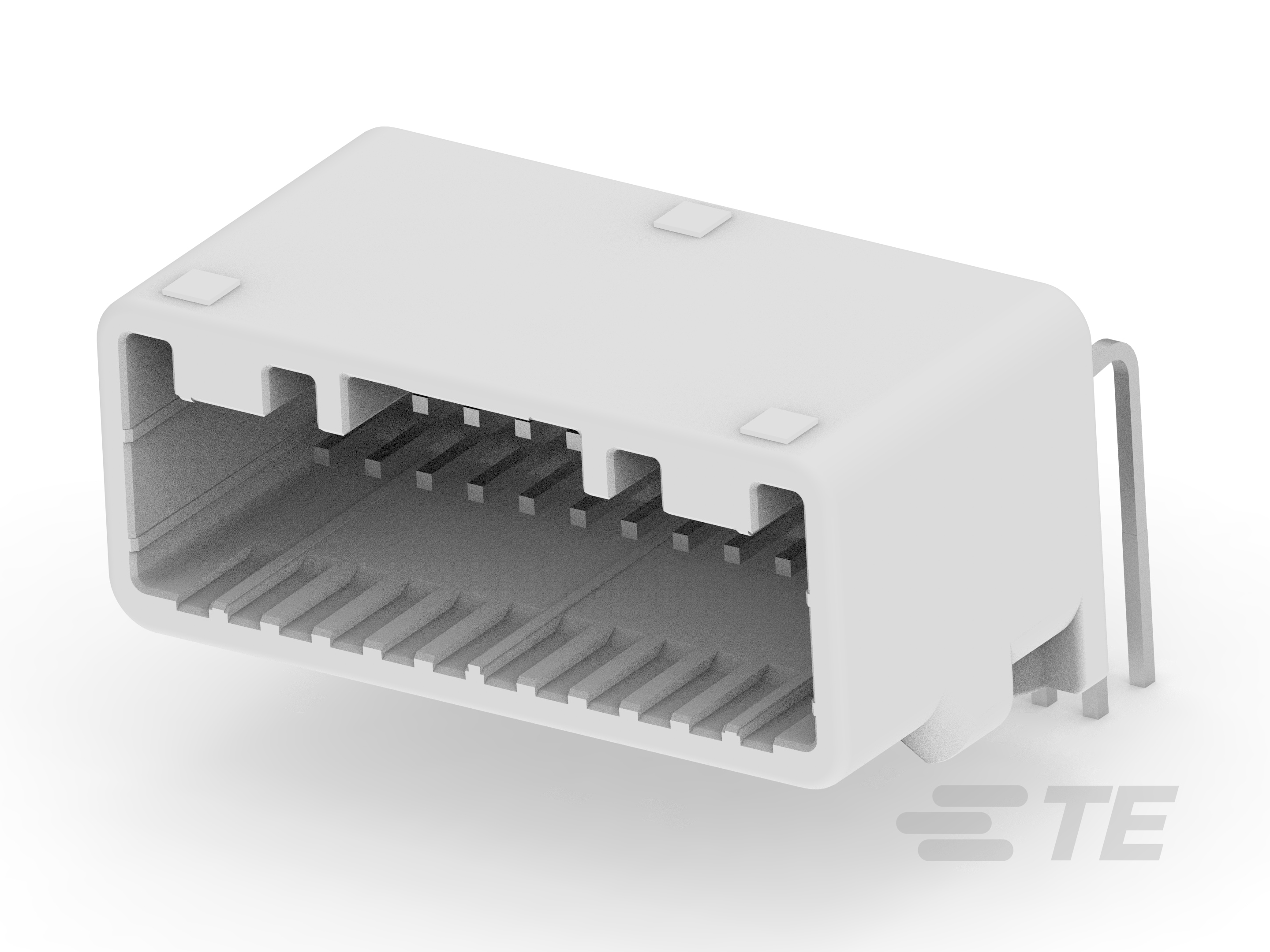 025 CAP HSG ASSY 24P-1318853-1
