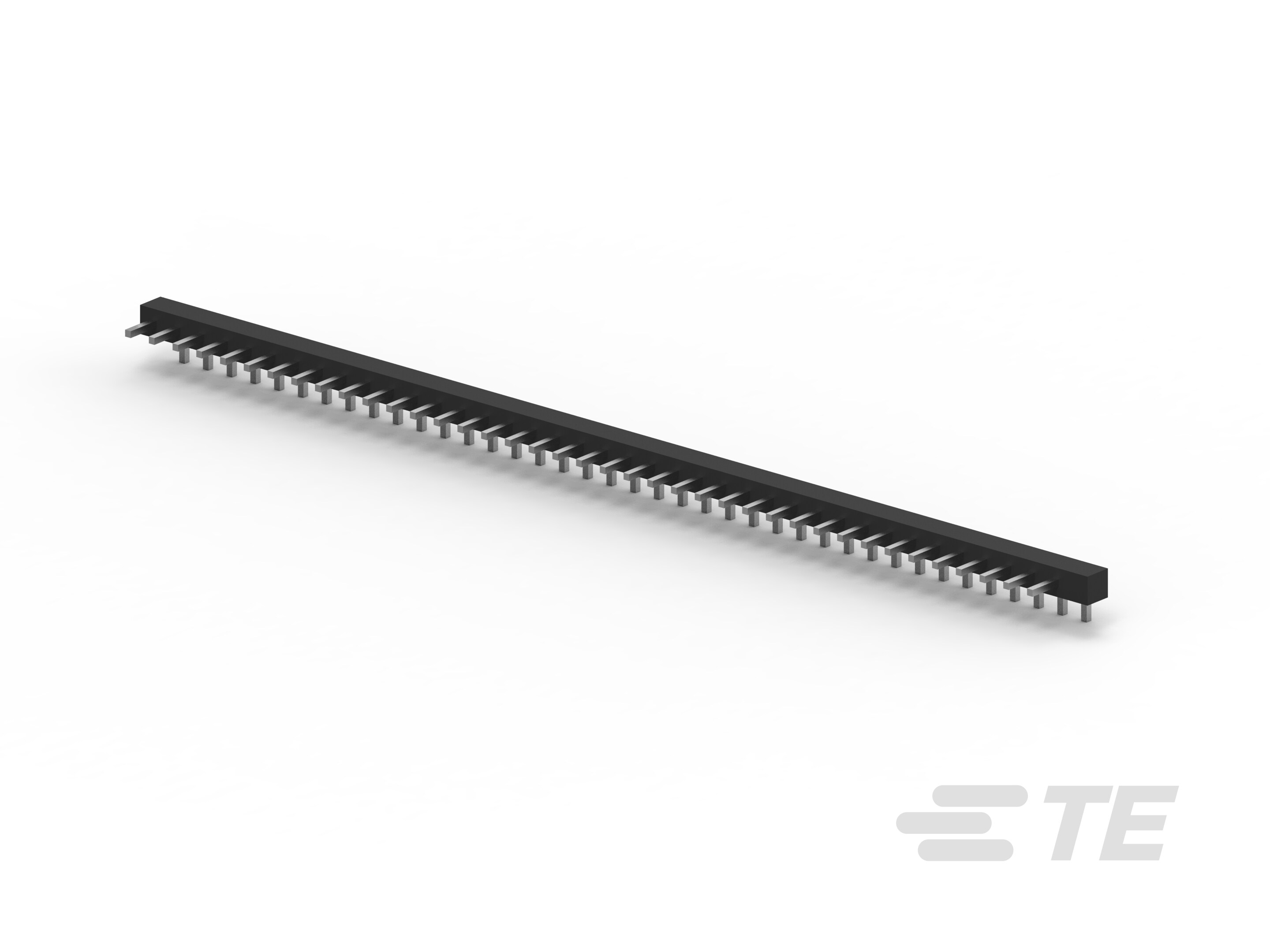 CONN.MALE472035810-1544197-3