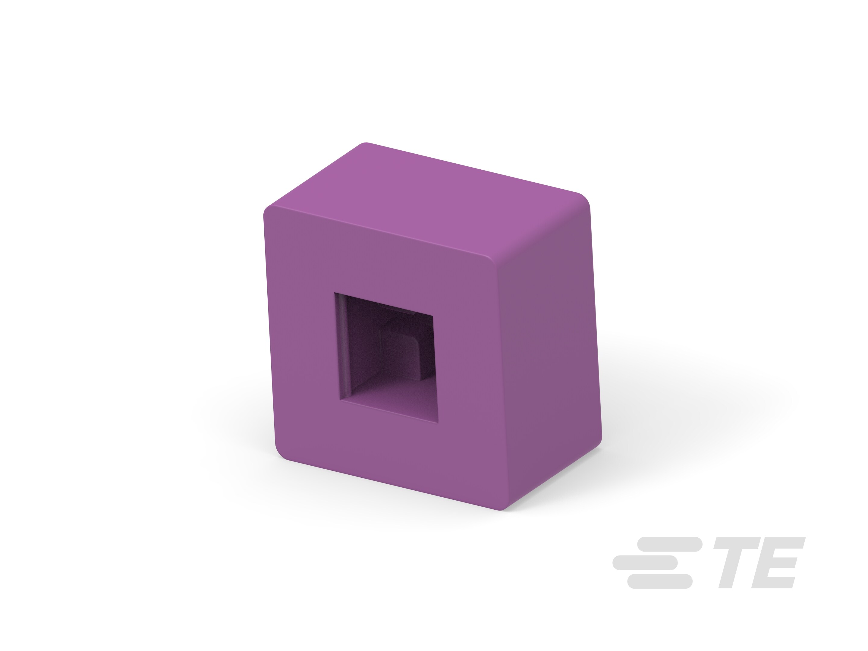 CAP,VIOLET-1571384-5