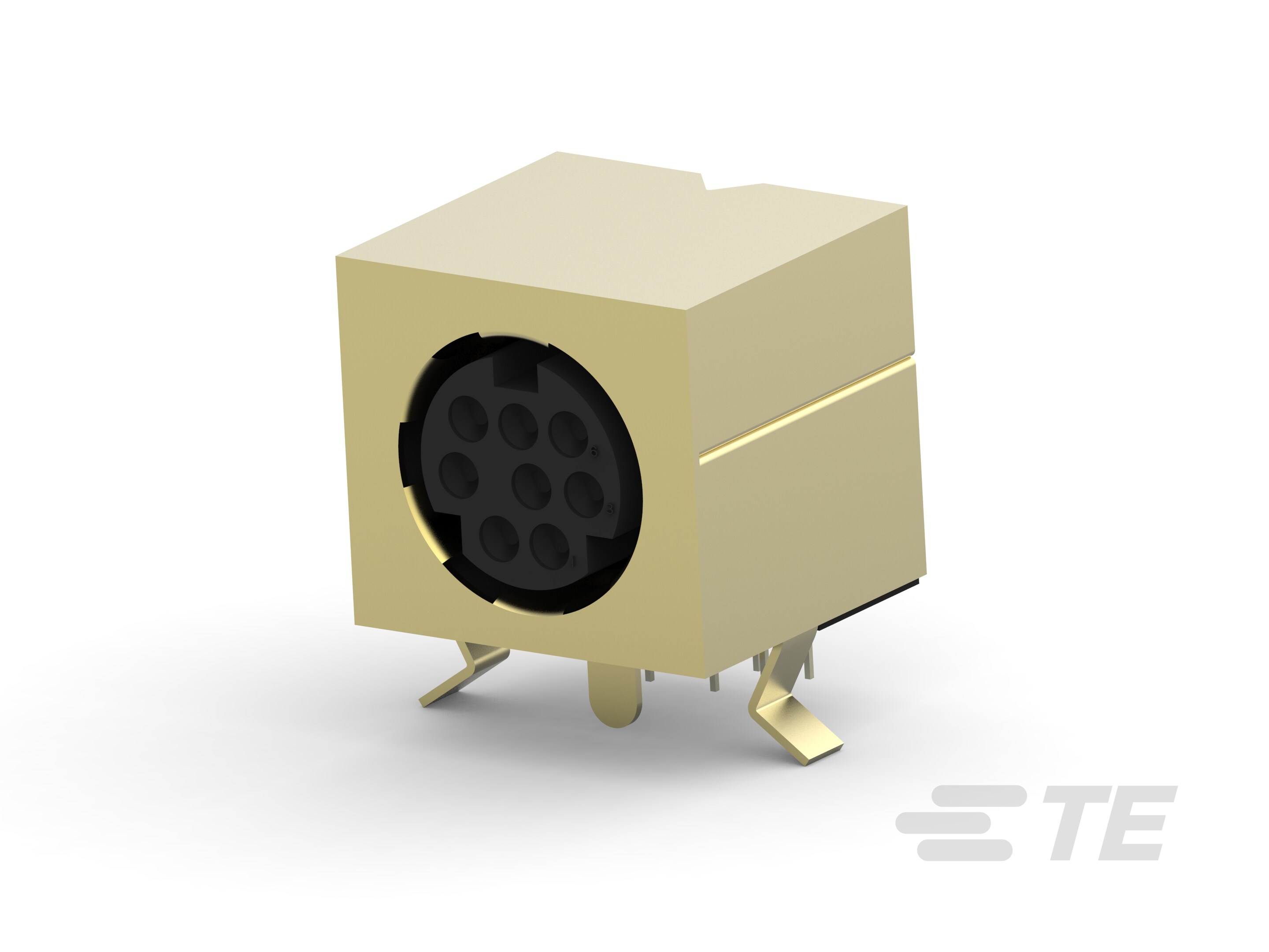 Mini DIN, 8 pos, R/A, Shield-1658998-1