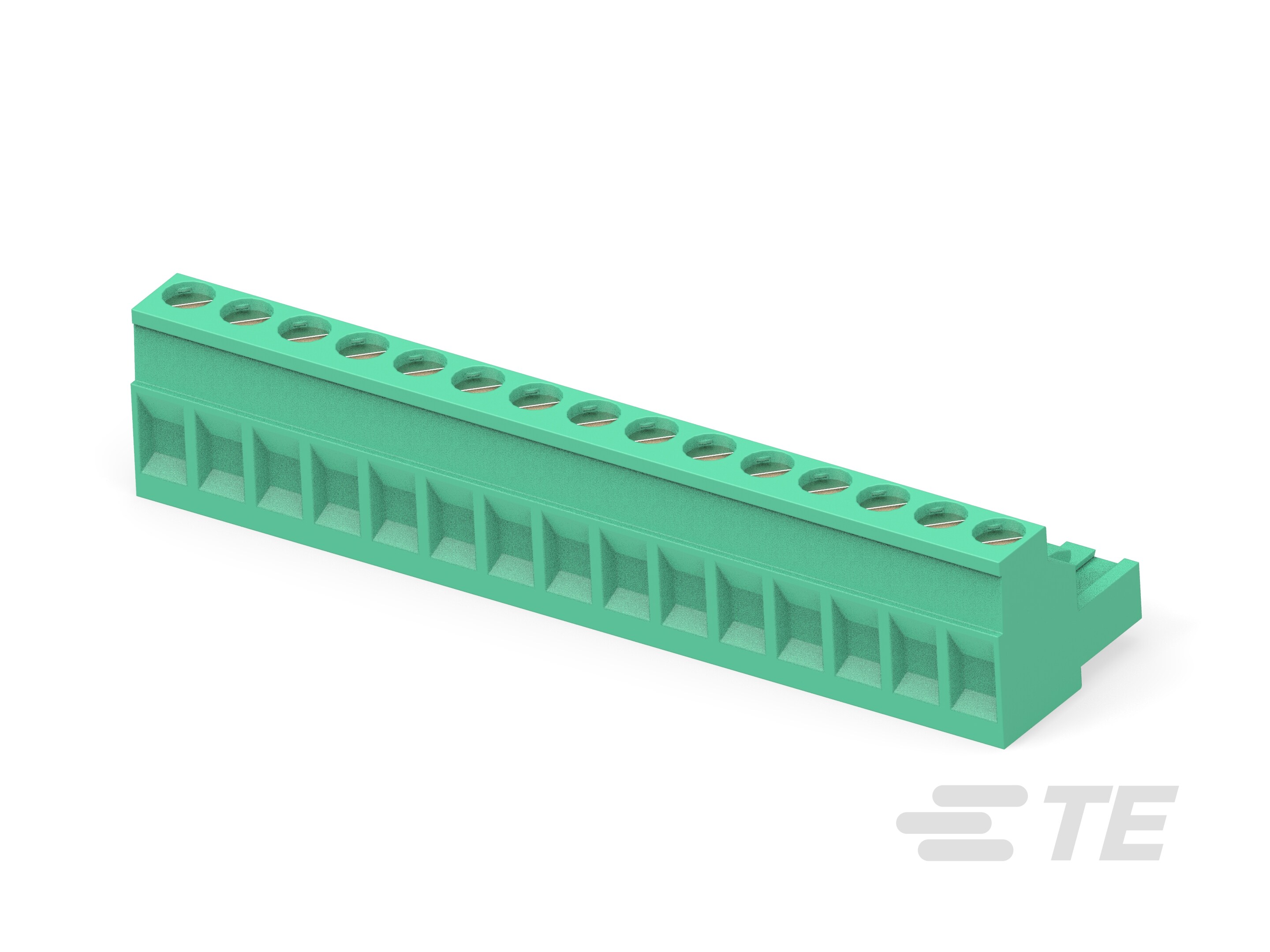 15 POS 5.08MM R/A PLUG,TRM BLK-1-796634-5