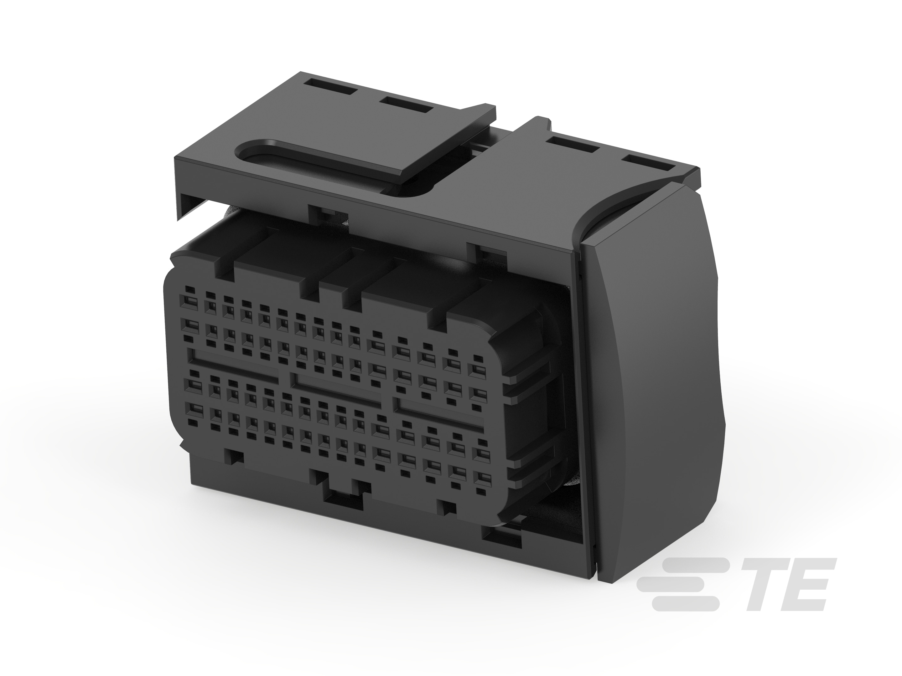 ECU 60P PLUG ASS'Y-1897635-2