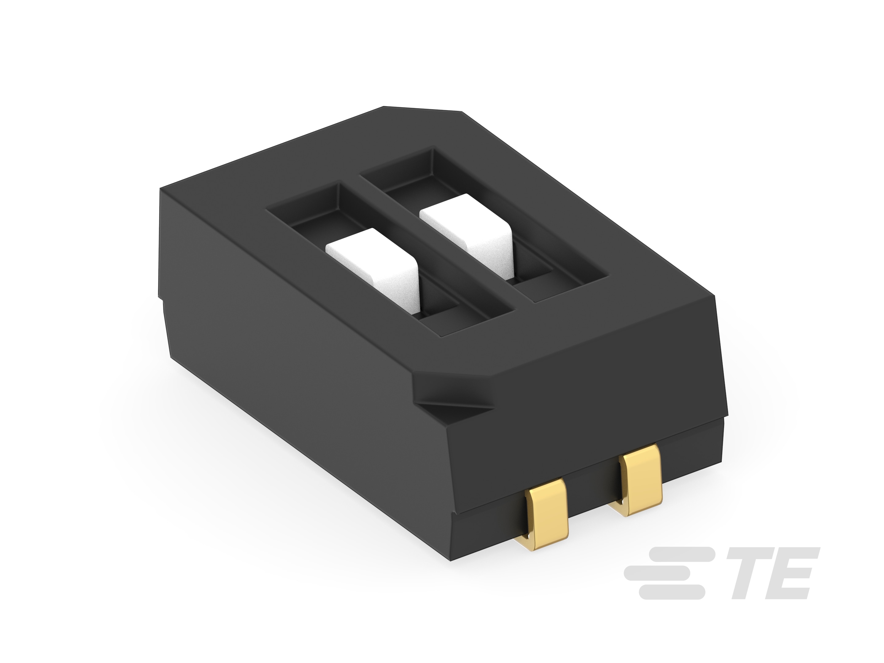 DIP SWITCH GDH02SATR04-1977831-1