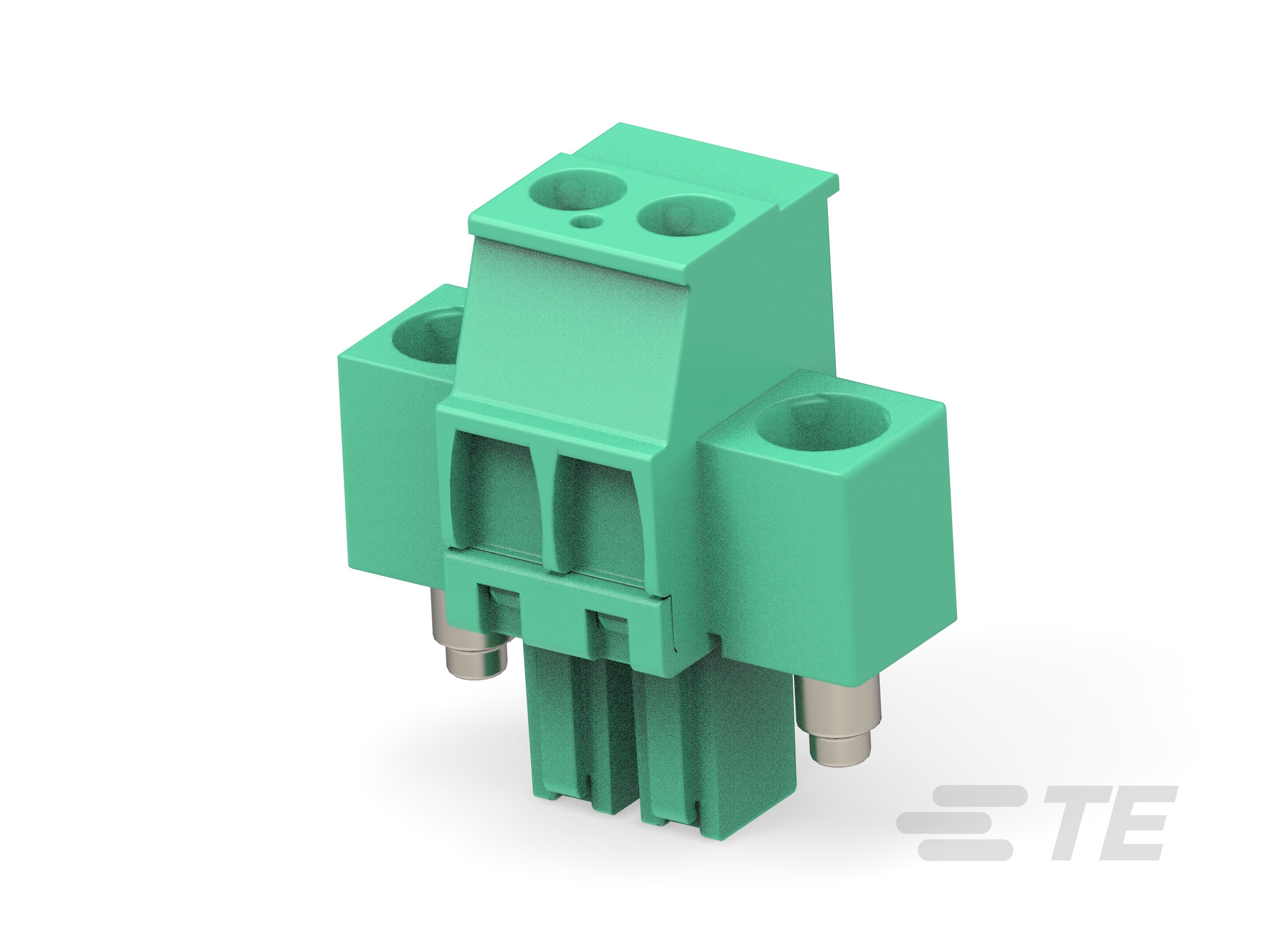 2P TB,3.81,F,VER,LOCK SRW FLG-1986820-2