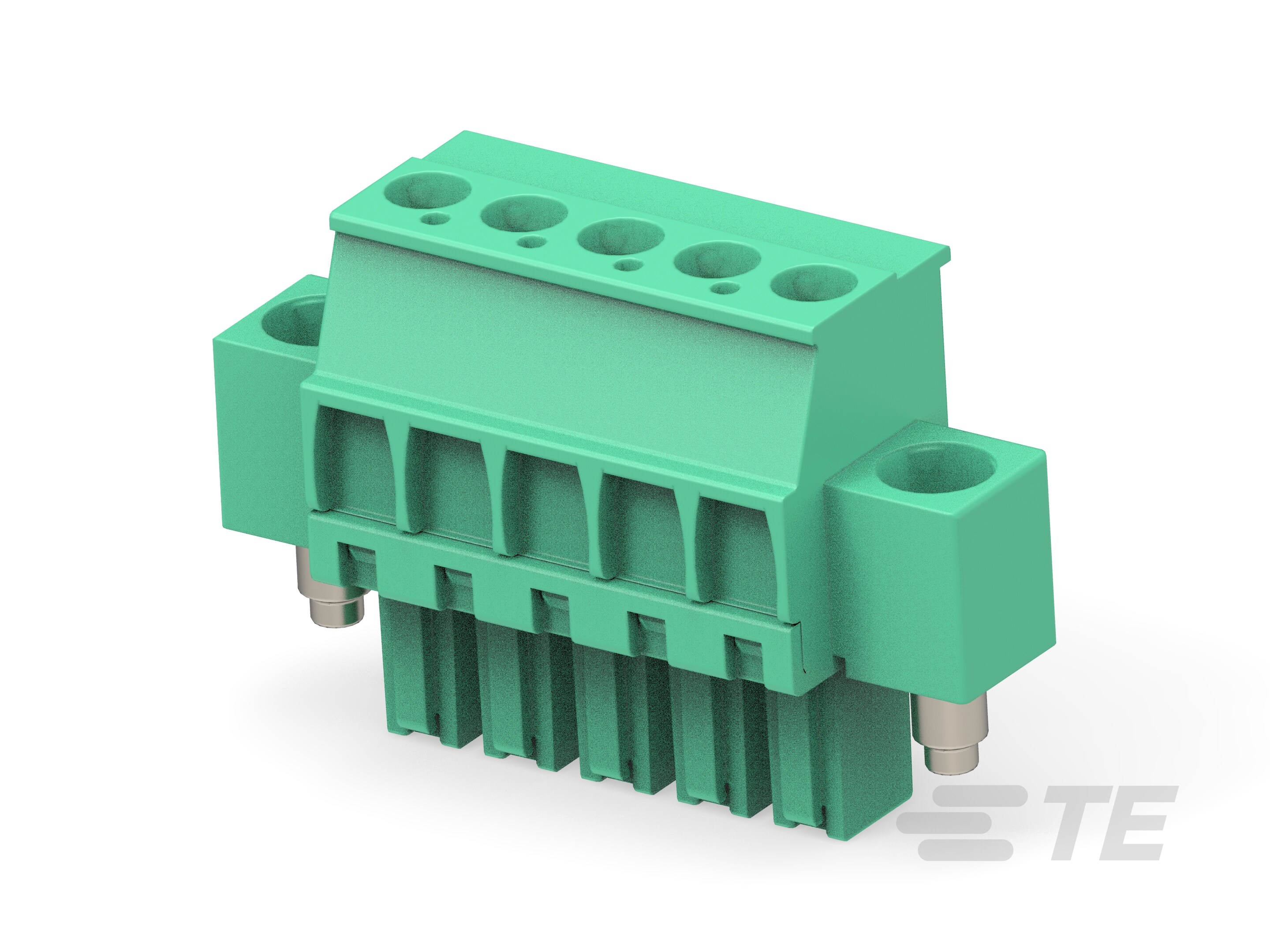 5P TB,3.81,F,VER,LOCK SRW FLG-1986820-5