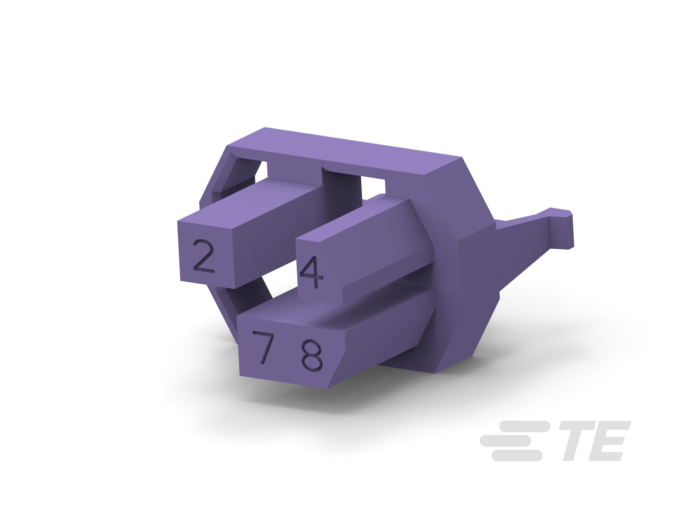 Z-PACK F.CODING KEY-2-100526-0