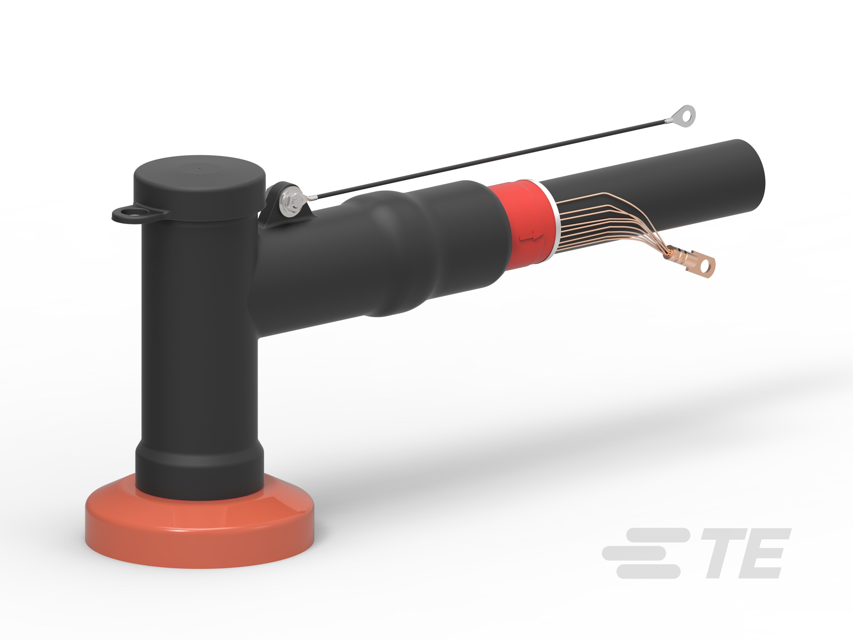 RSTI-935-3595-SC-2197837-1