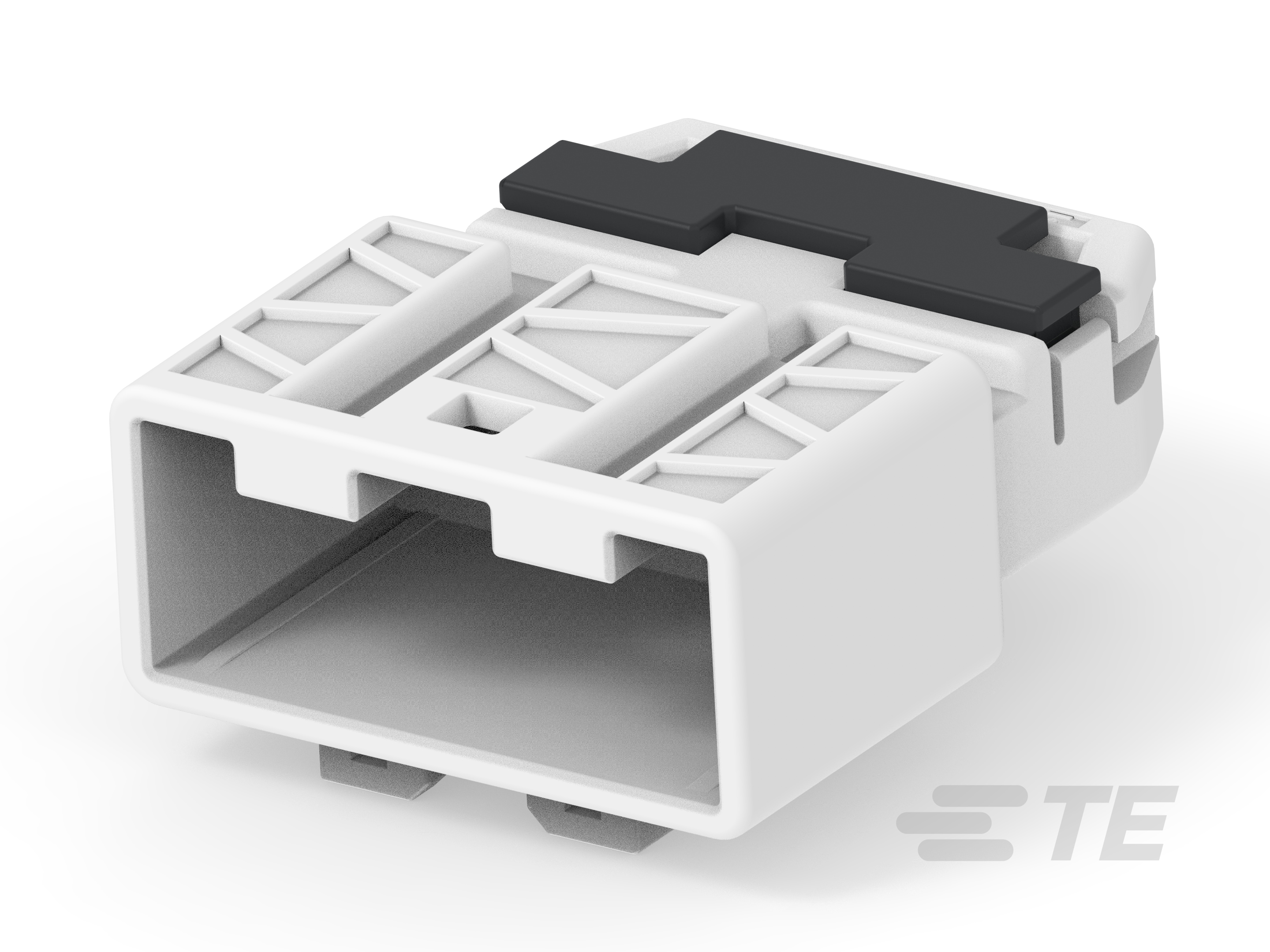025RF 13P CAP ASSY NAT-2308332-1