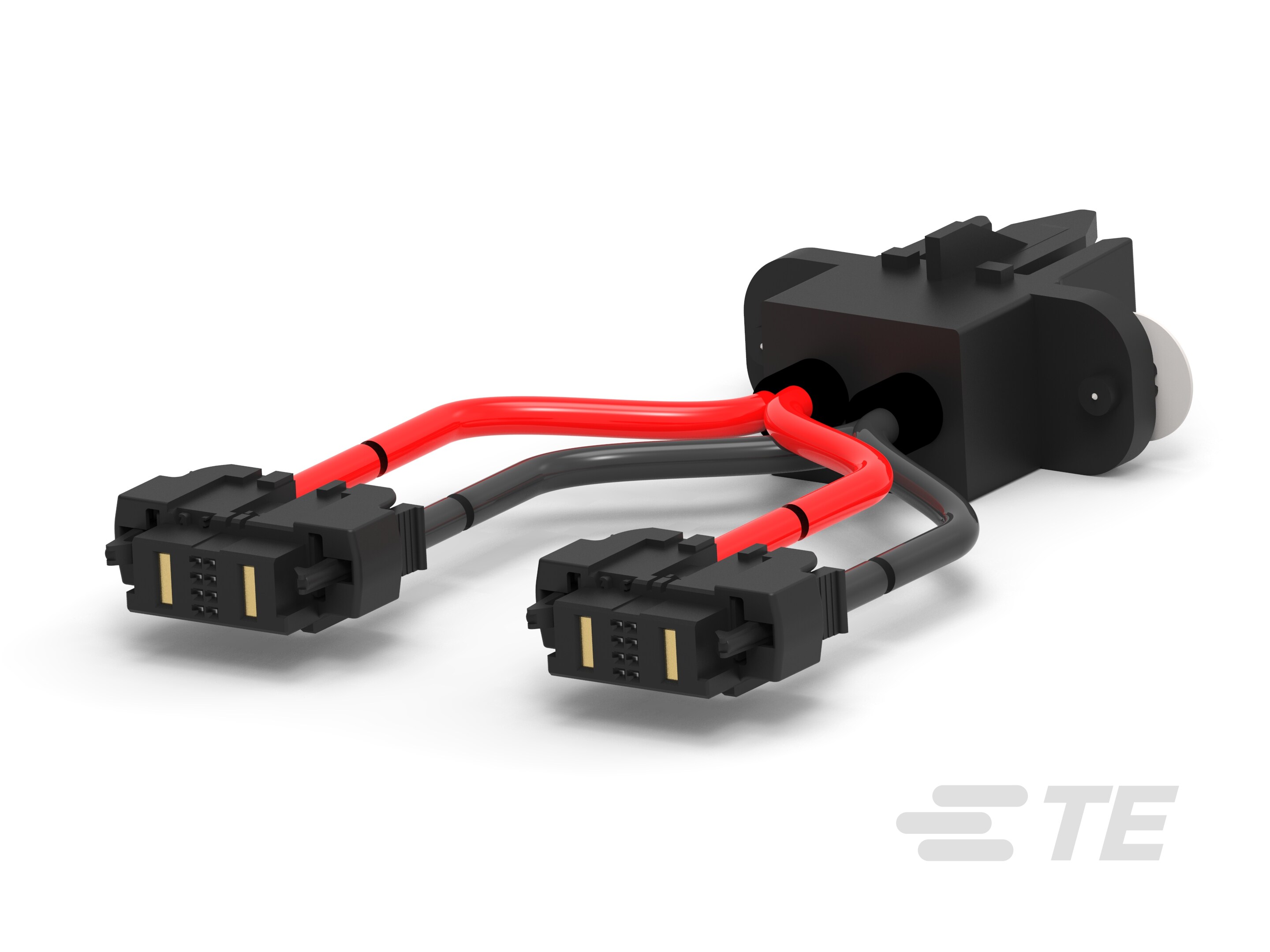 CA, YOSEMITE2-2321561-2