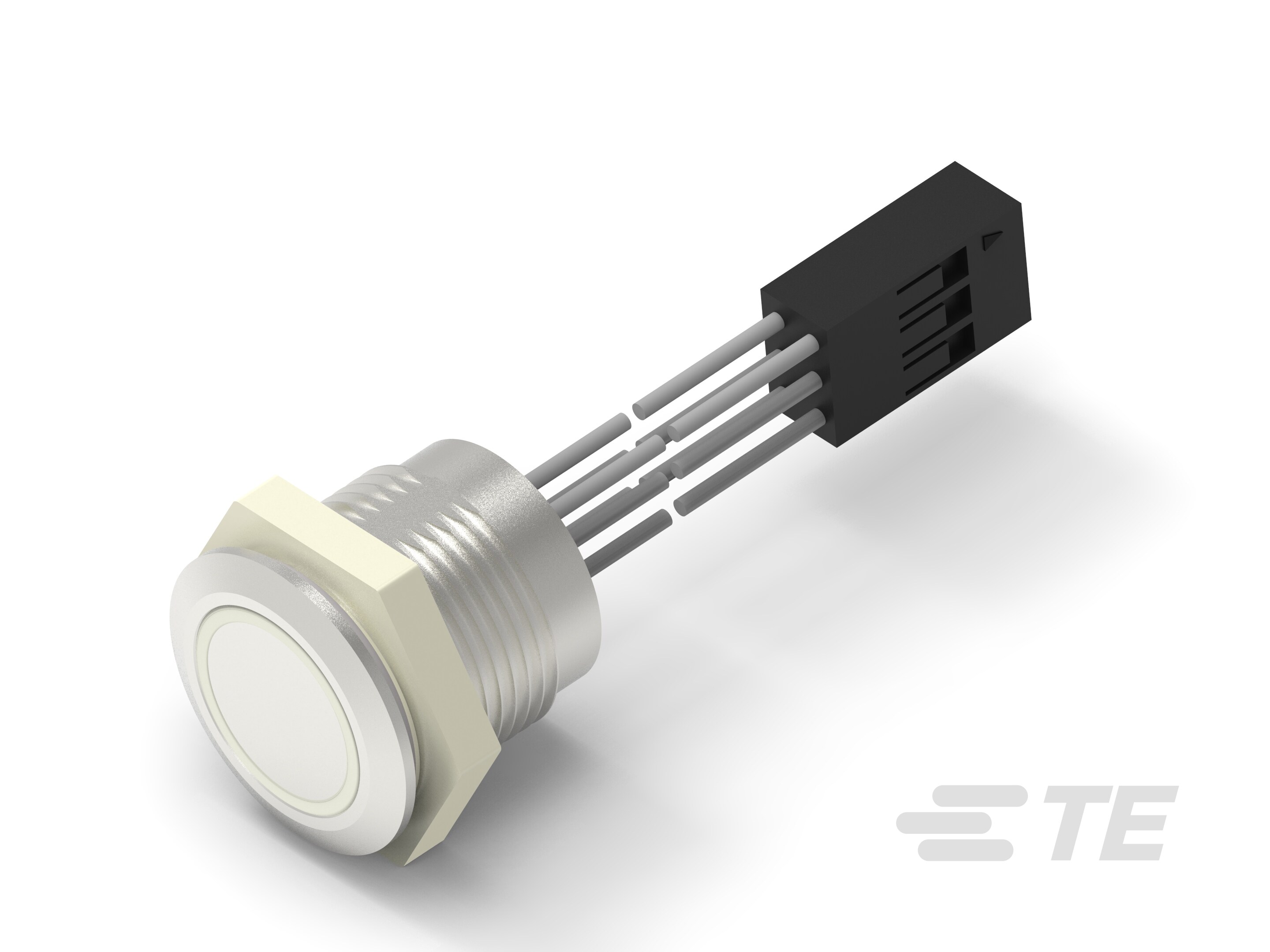 AVC16L FLAT S16 RGB R 500MM/2X3-2342832-5