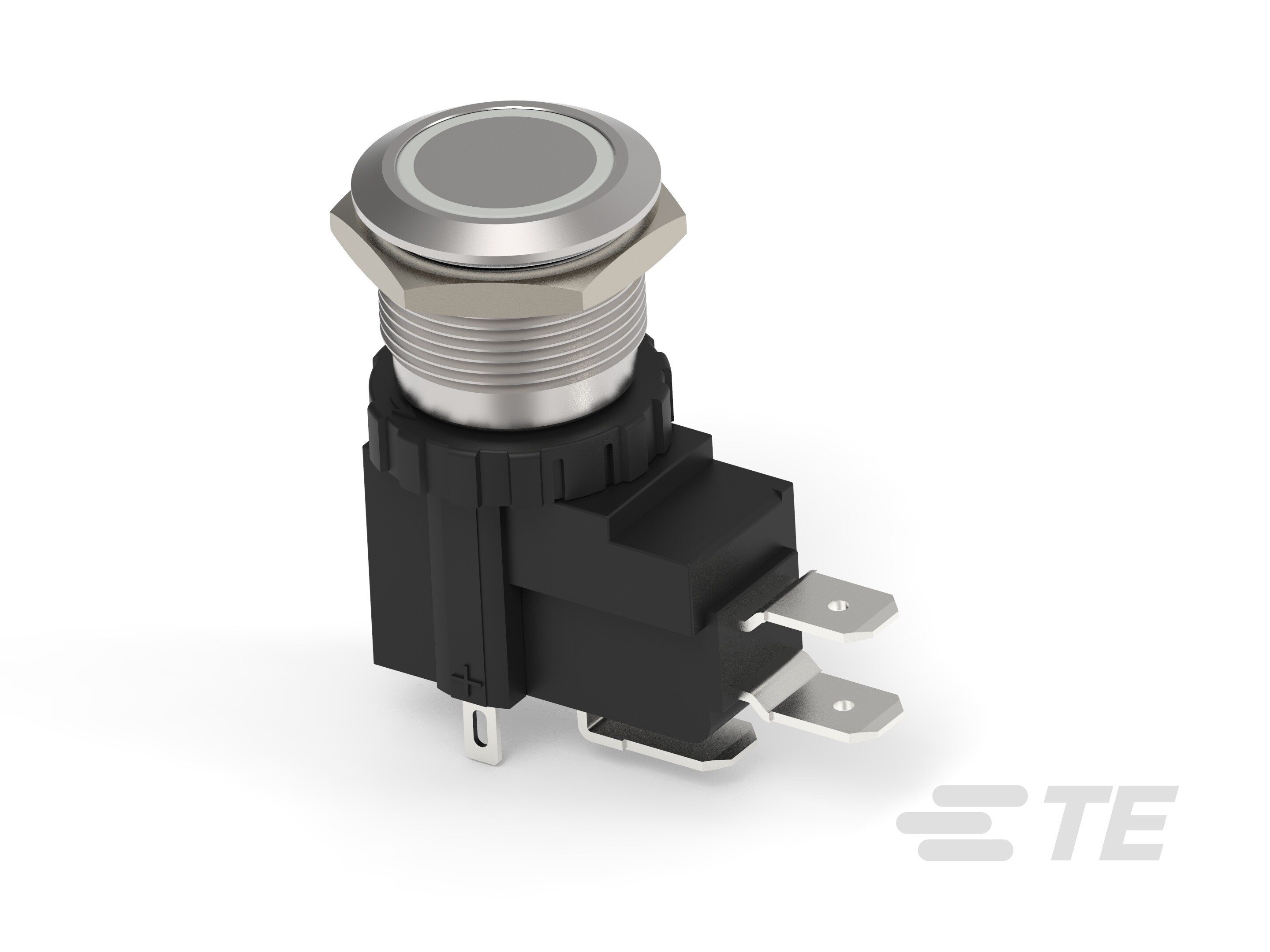 AVH19 FLT SS MT RNG R&G 12V26A-2-2364571-1