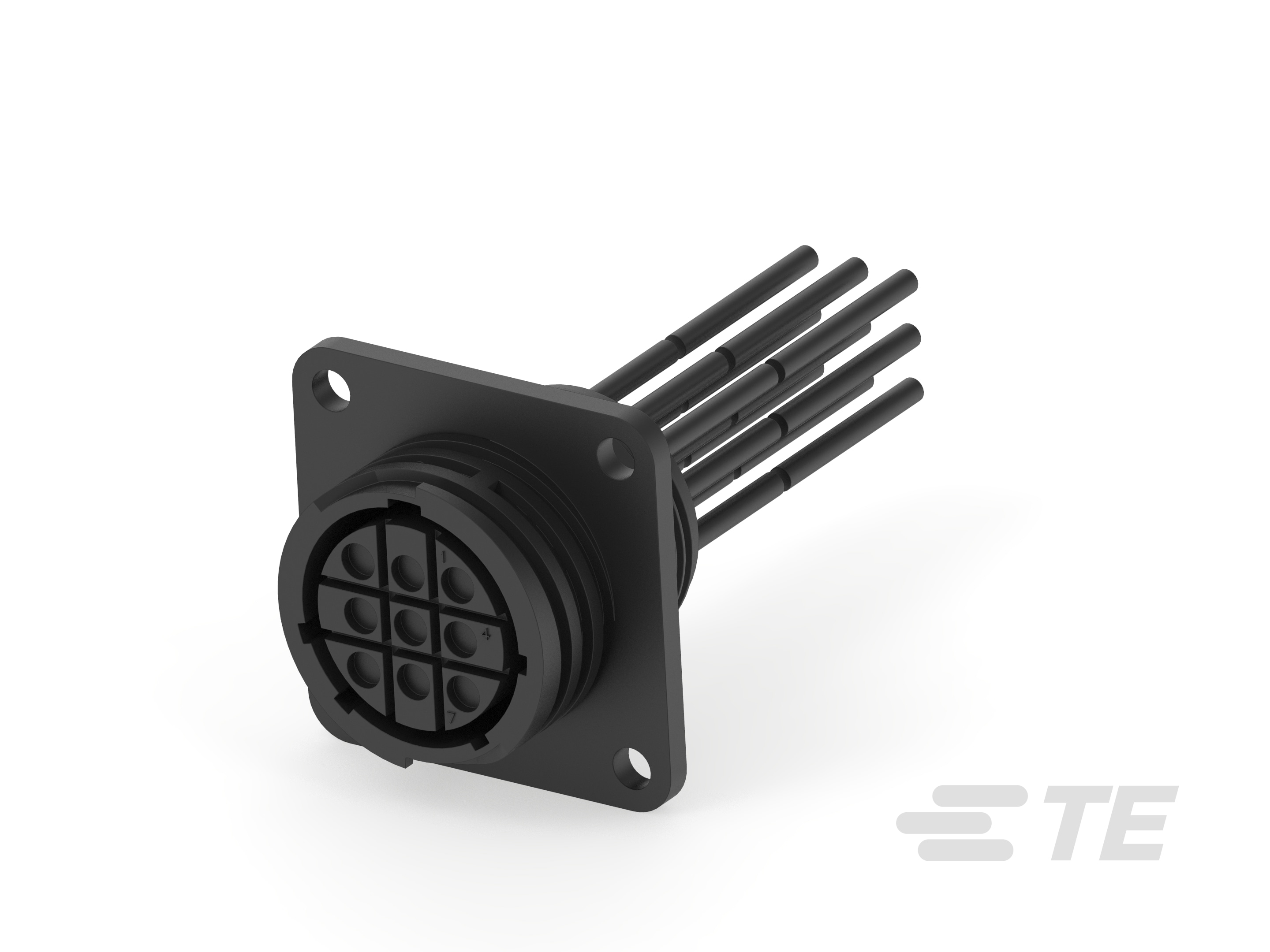 FL RPT CONN CA,REV,SP,SZ 17-9,L 1M-2387123-2