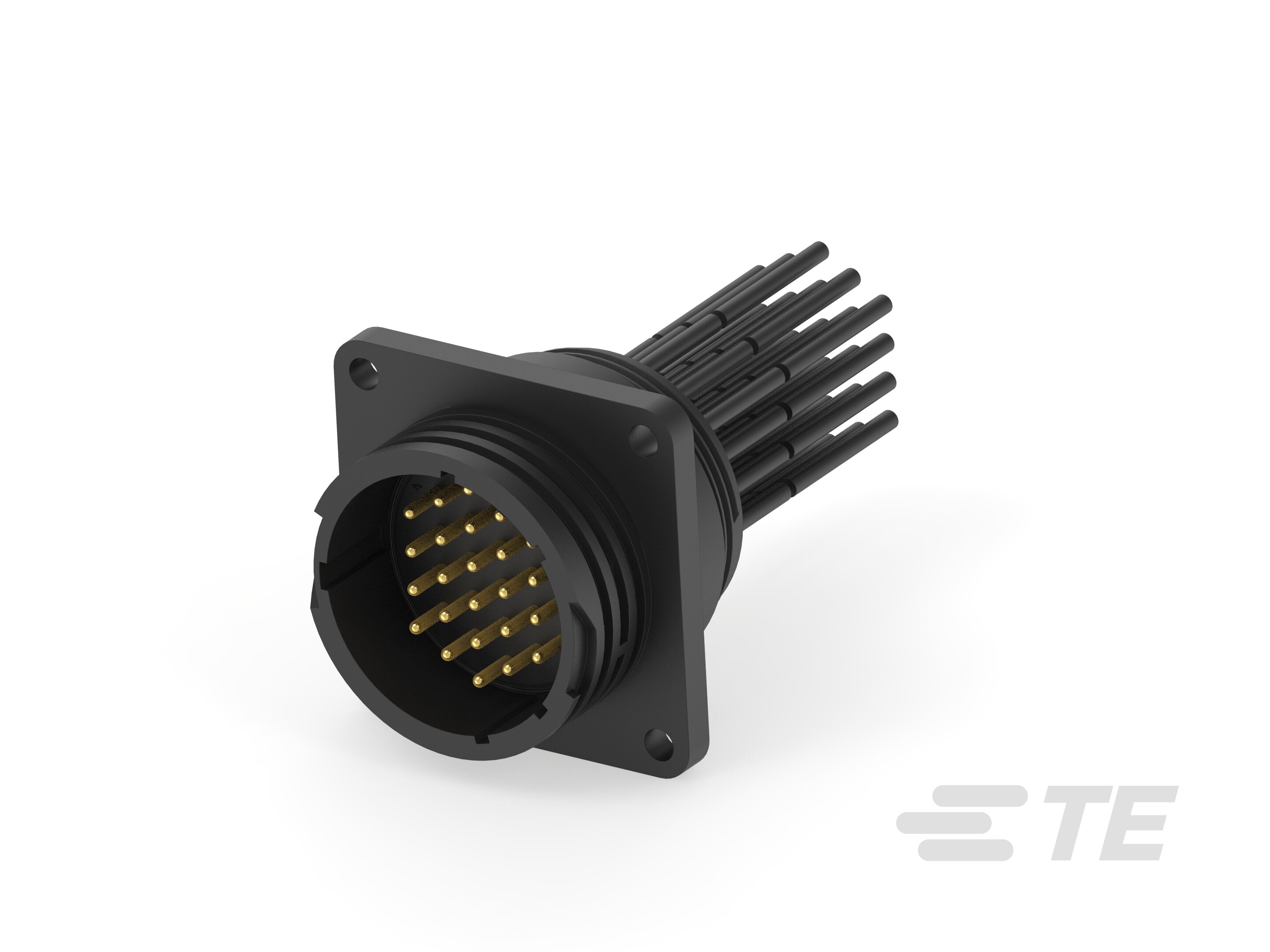 FL RPT CONN CA,STD,SER 1,23-24, L 0.5M-2387127-1