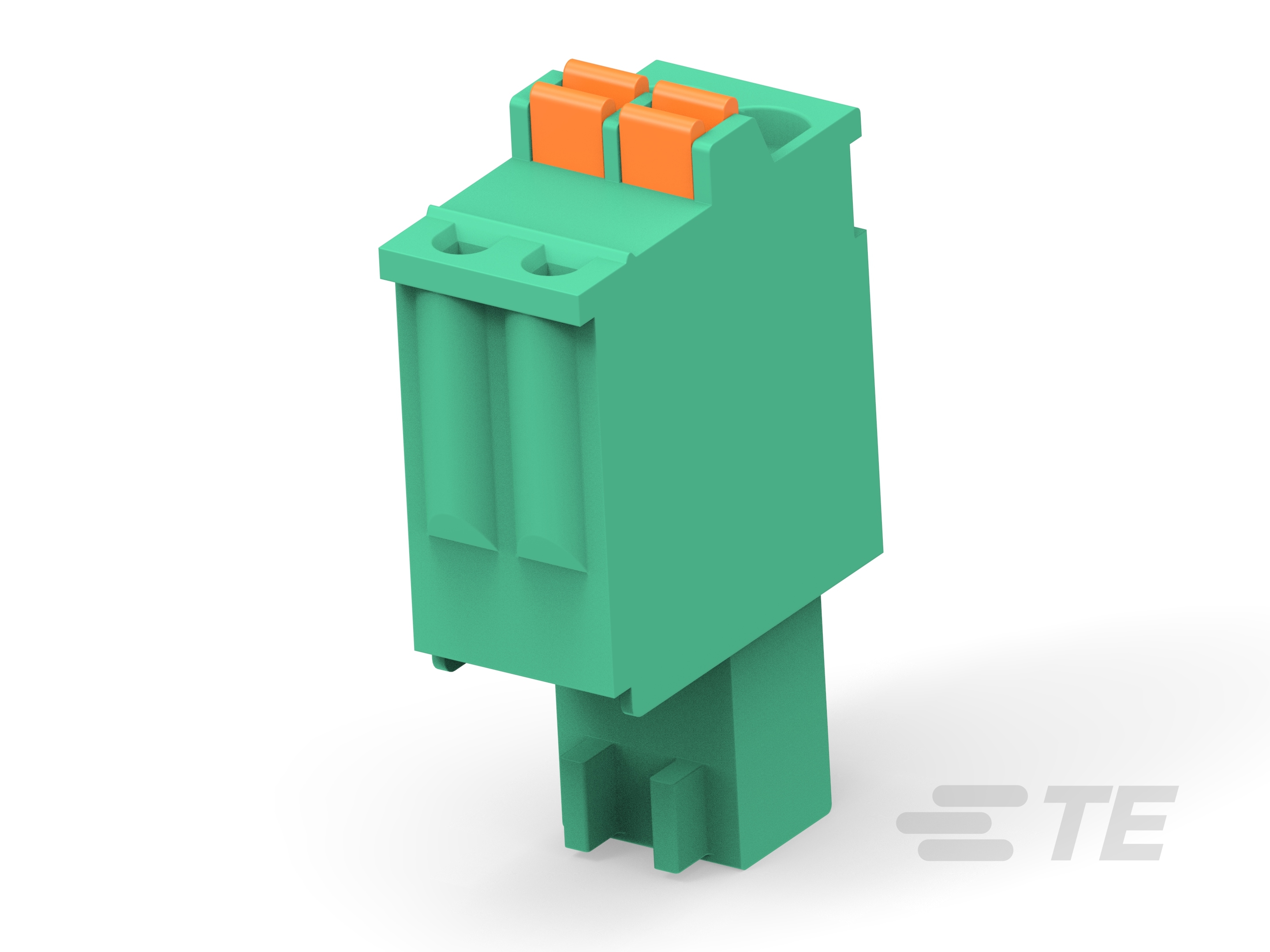2P Spring TB Plug 2.50, GN-2842528-2