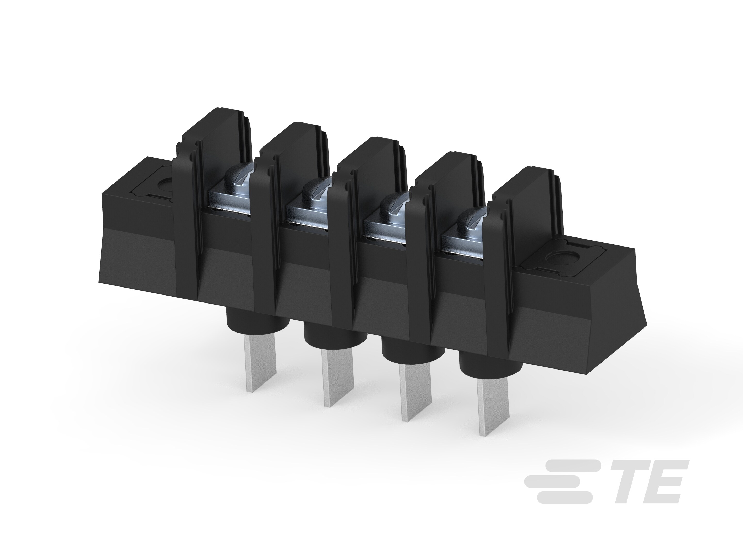 SSB7TG040502=