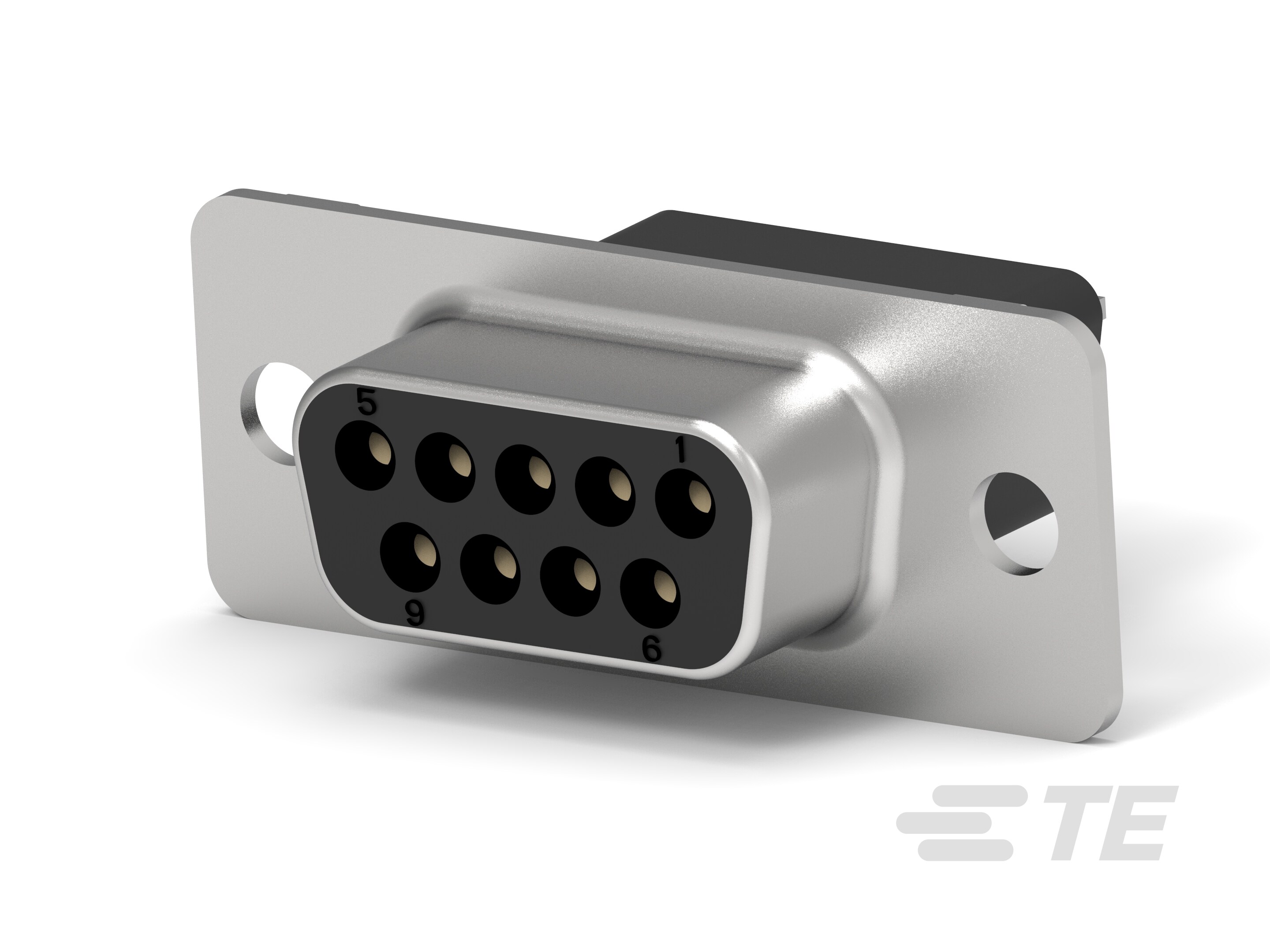 09 RCPT SP/MS STD-5745183-1