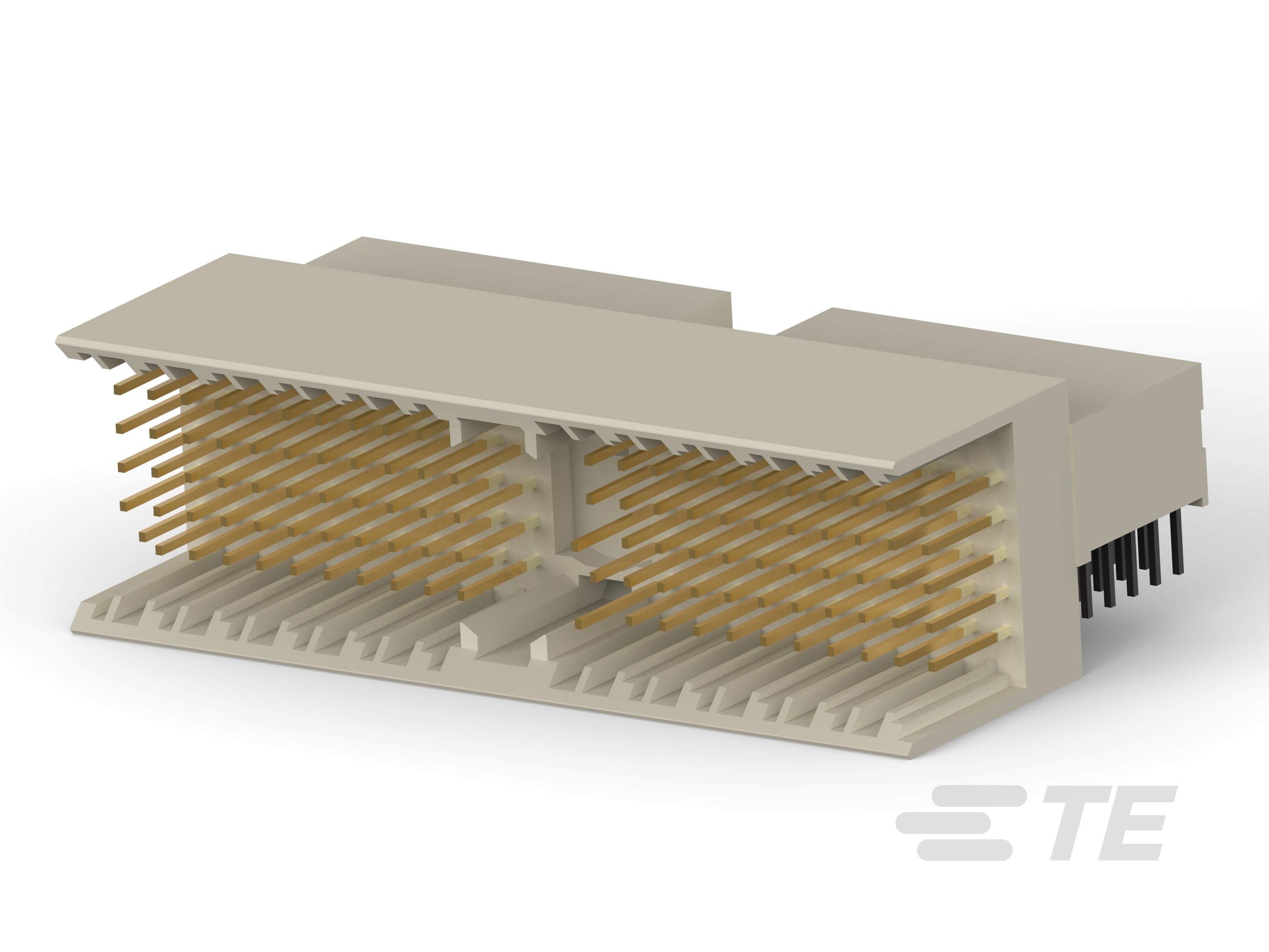 Z-PACK/A RAMH.110P.-6345055-1