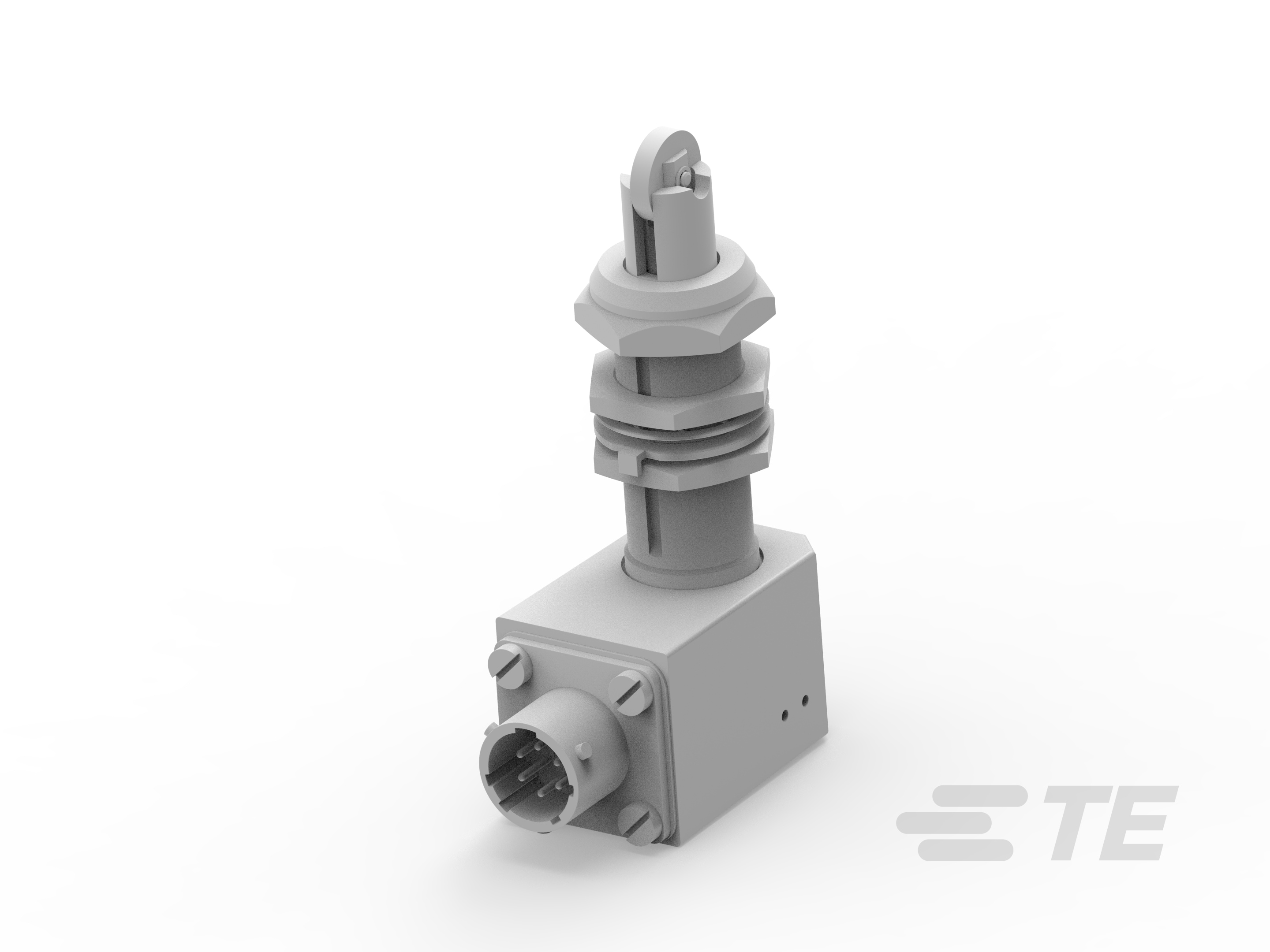 Limit switch G13-01-1365-K1019161