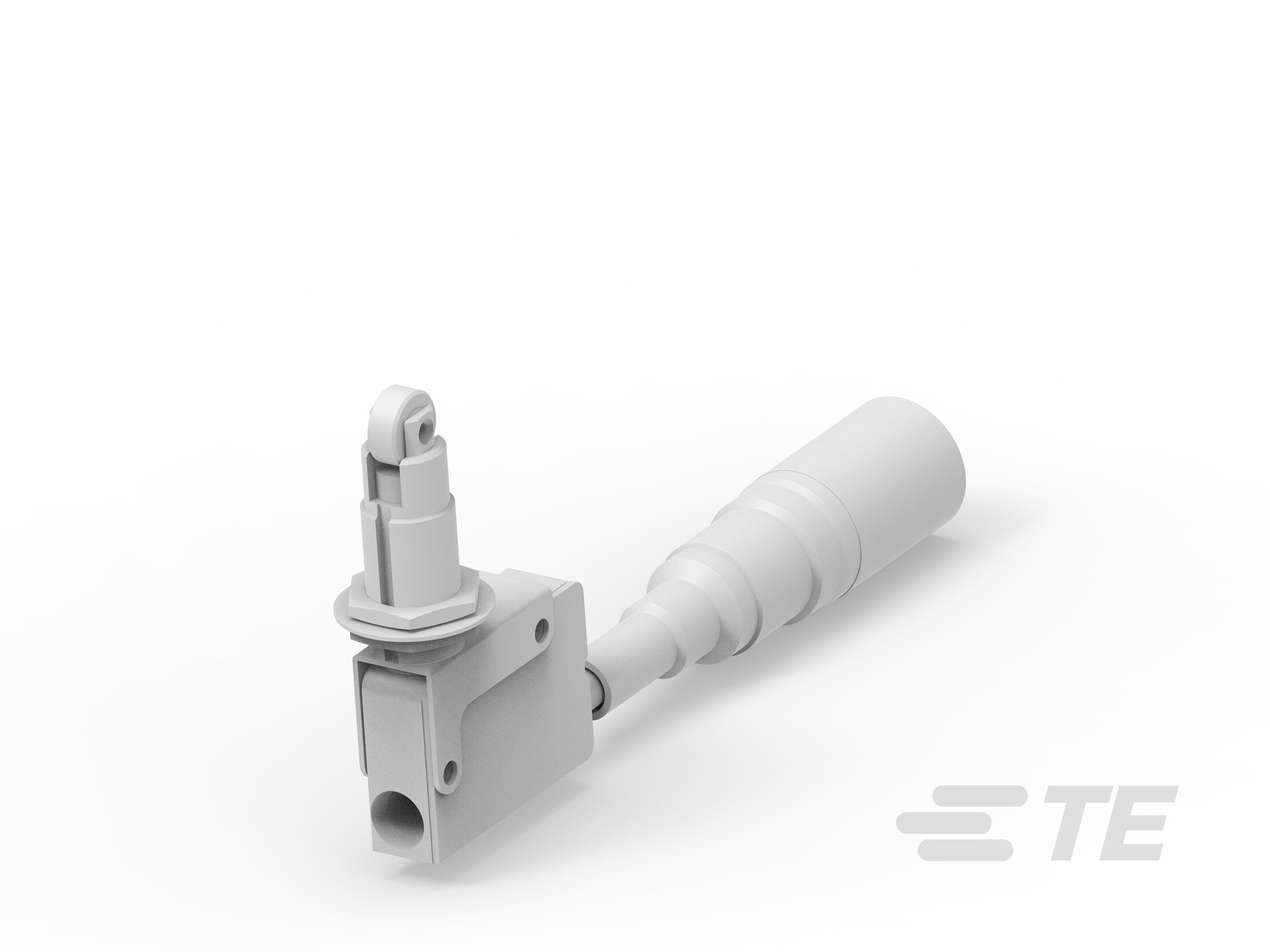Micro Switch MZD1 341 020 902-K1041804