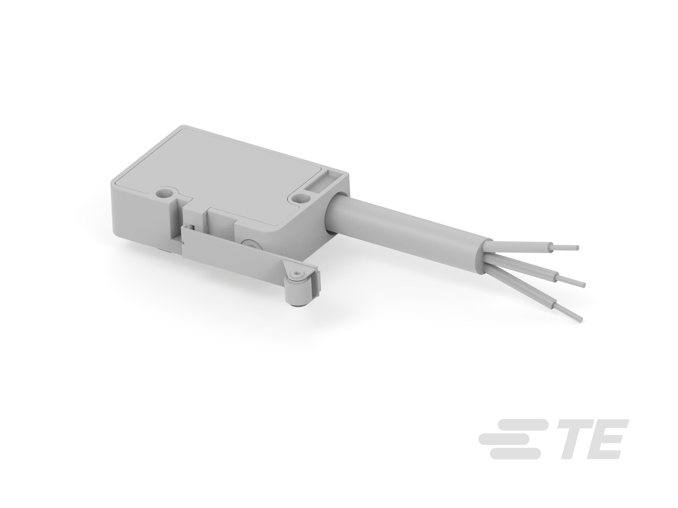 Micro Switch MZW1 081 100 (VDE-Konform)-K1136055