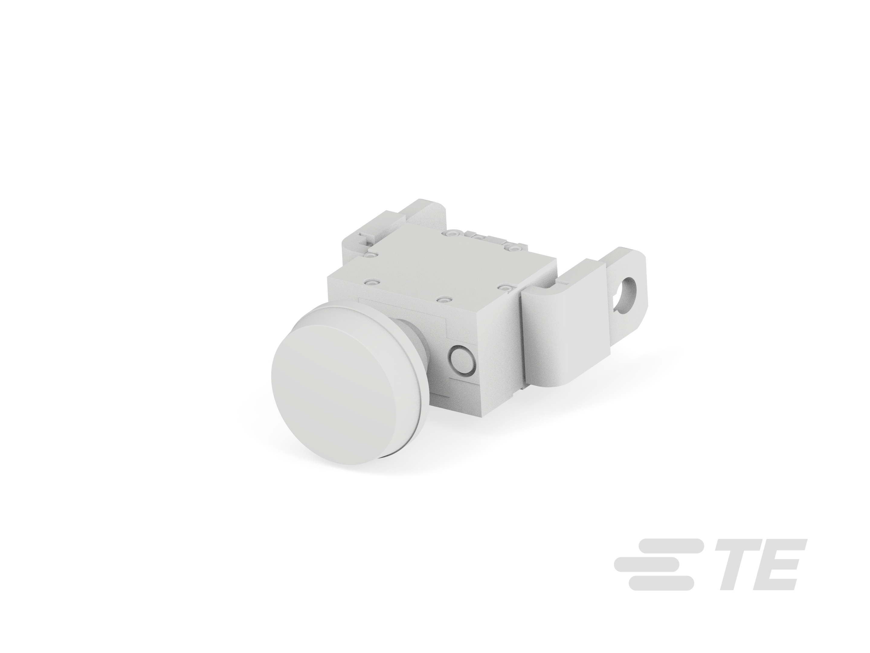 Emergency Power Switch Type 24-05-02-K1138349