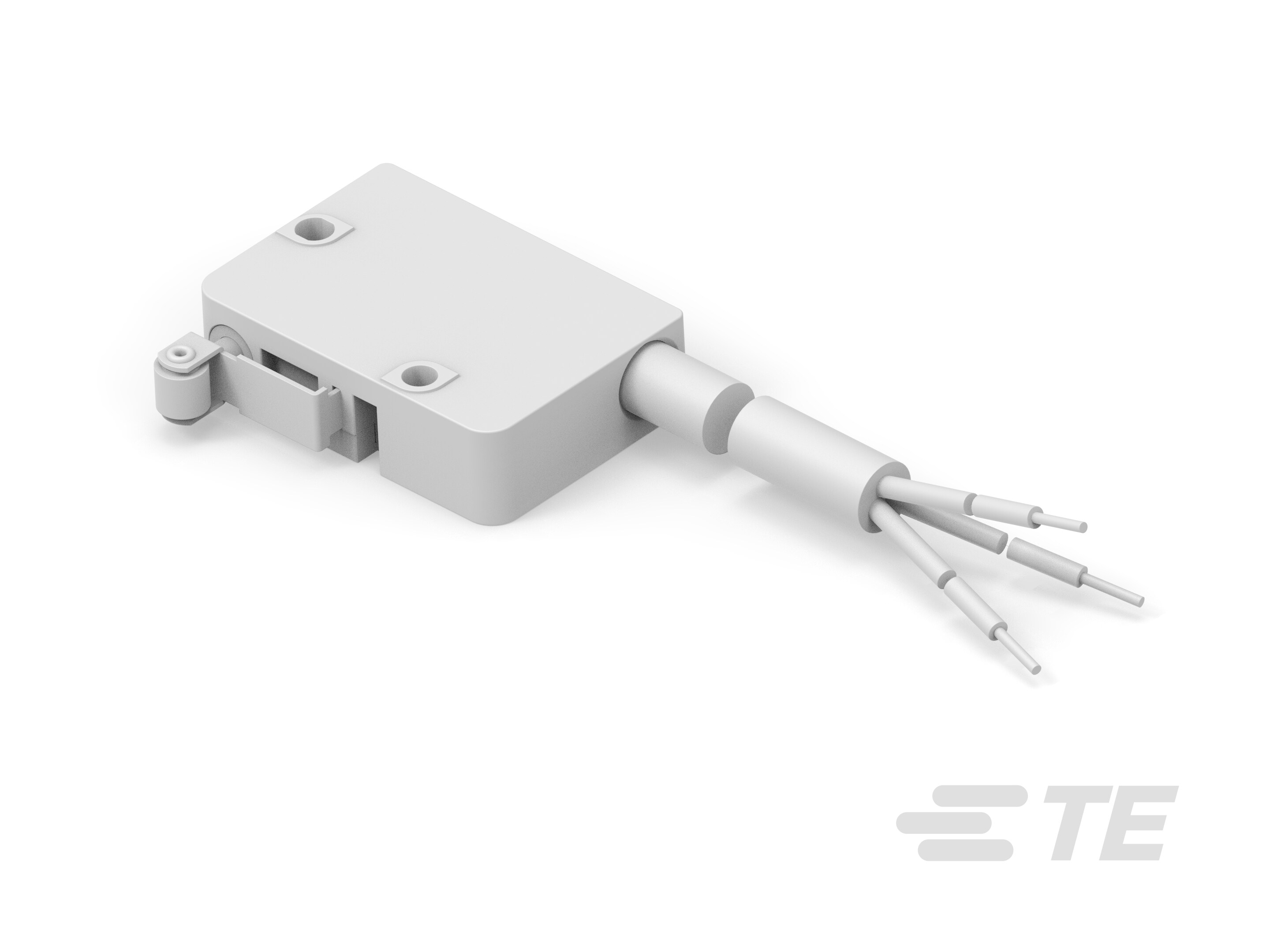 Micro Switch MZW1 891 100-K1145890