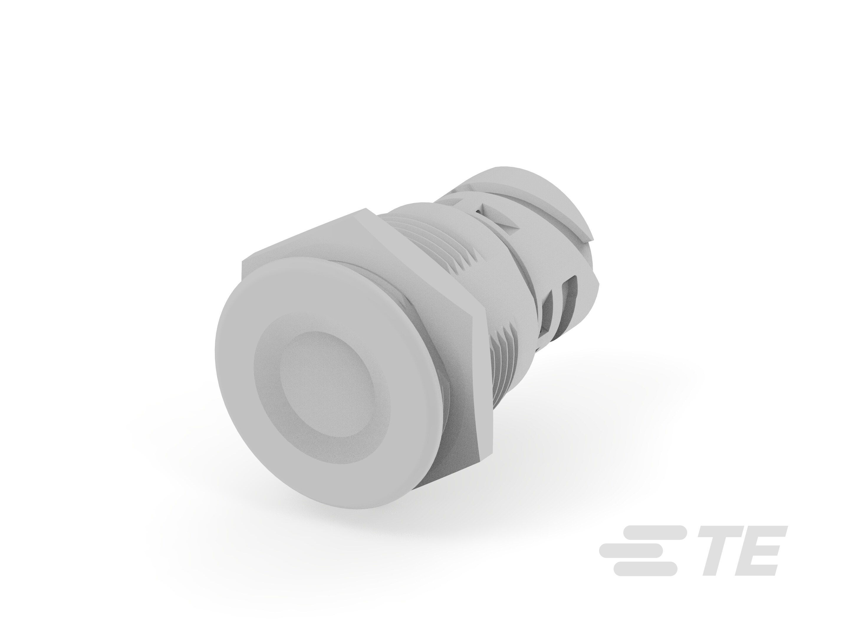 Push button switch TS-211-GN112-K1151133